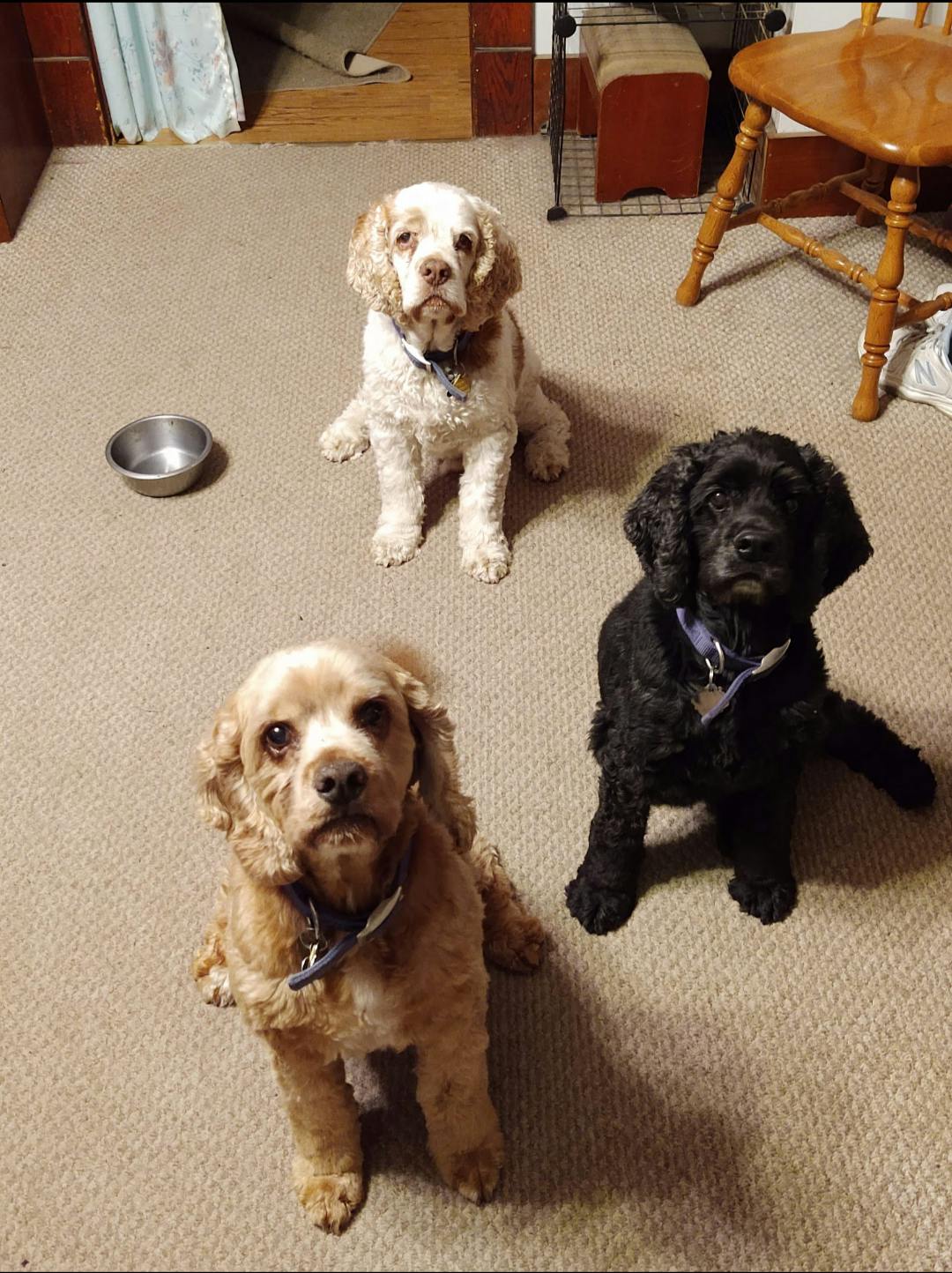 user avatar image for TDaws