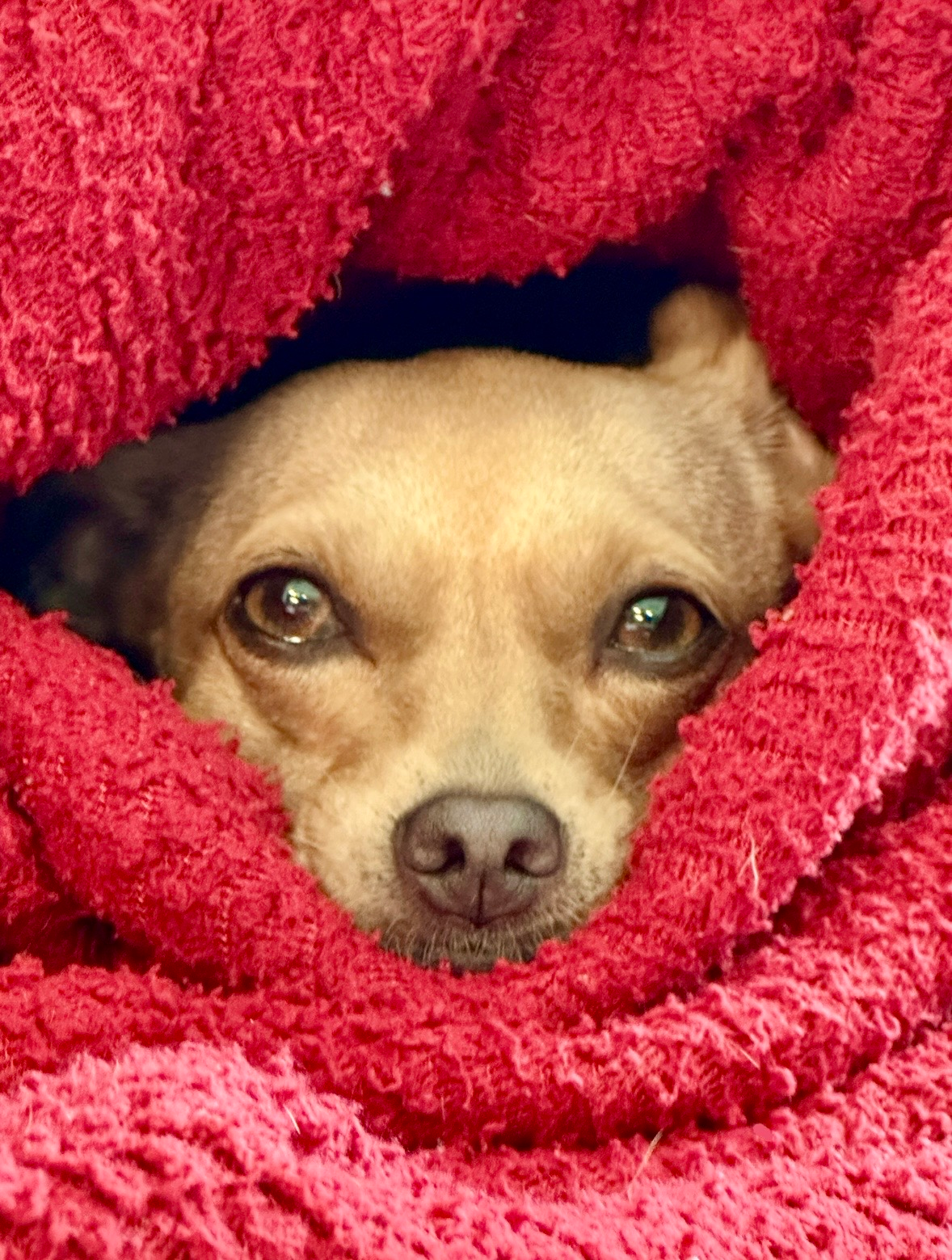 user avatar image for Dan Nakasato