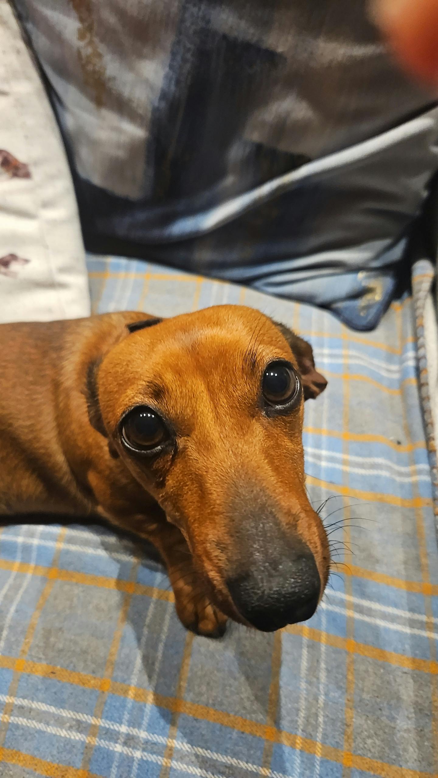 user avatar image for Kim 