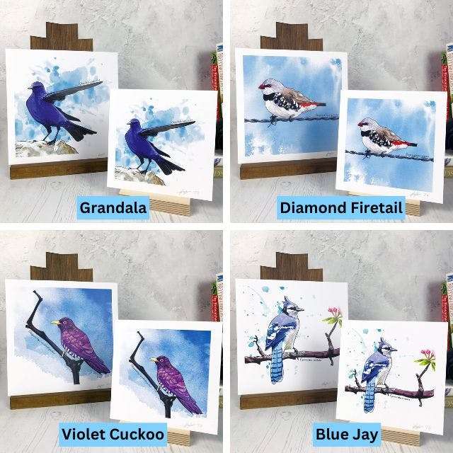 a grid of four coasters created from illustrations by Loadofolbobbins. Clockwise from top left they show a grandala, a diamond firetail, a blue jay and a violet cuckoo.