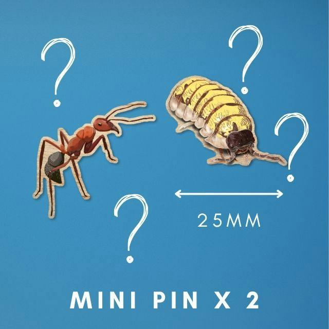 2 Wooden Mini Pins