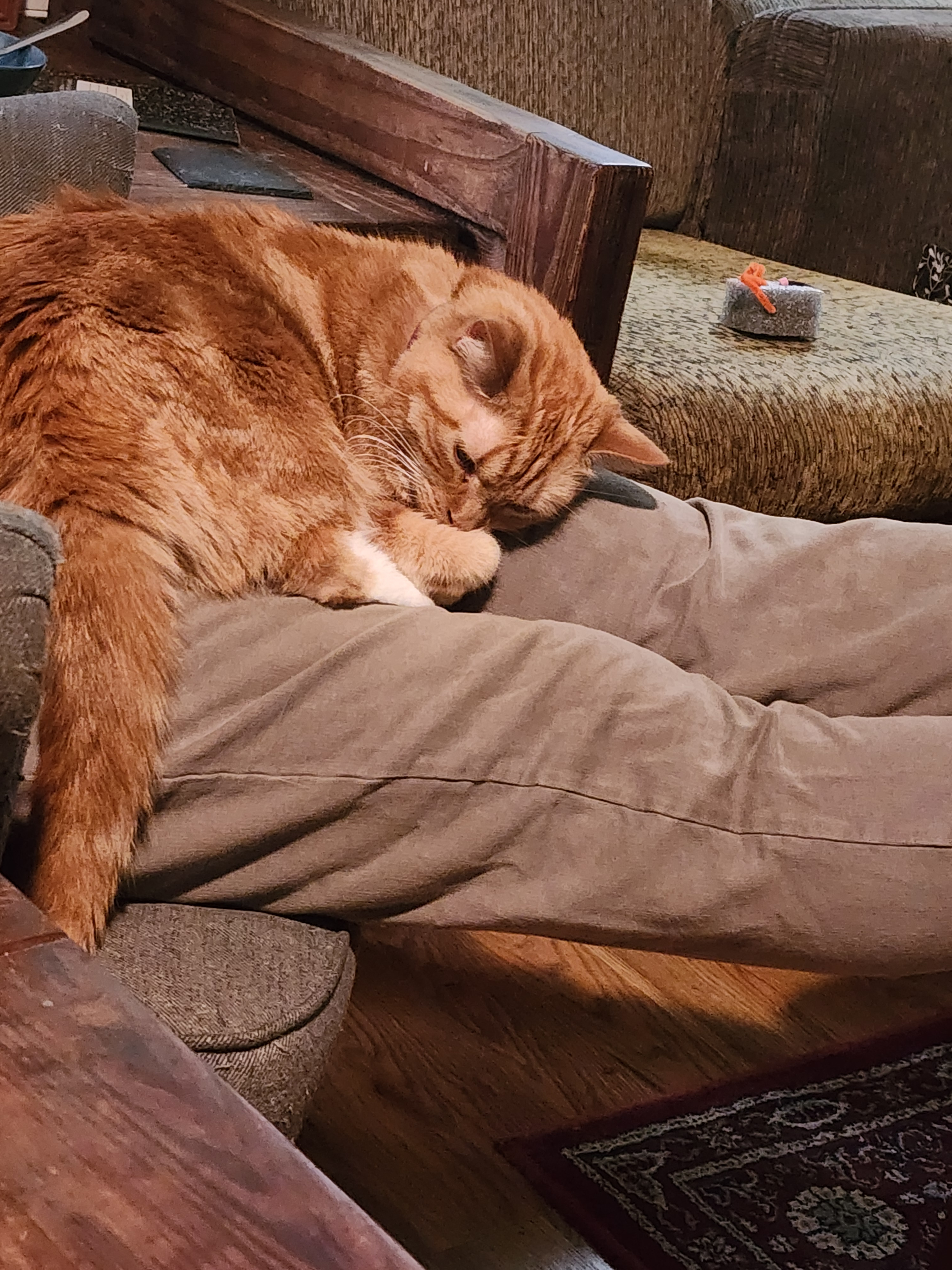 user avatar image for Elizabeth 