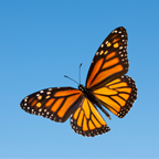 user avatar image for Daisyliv