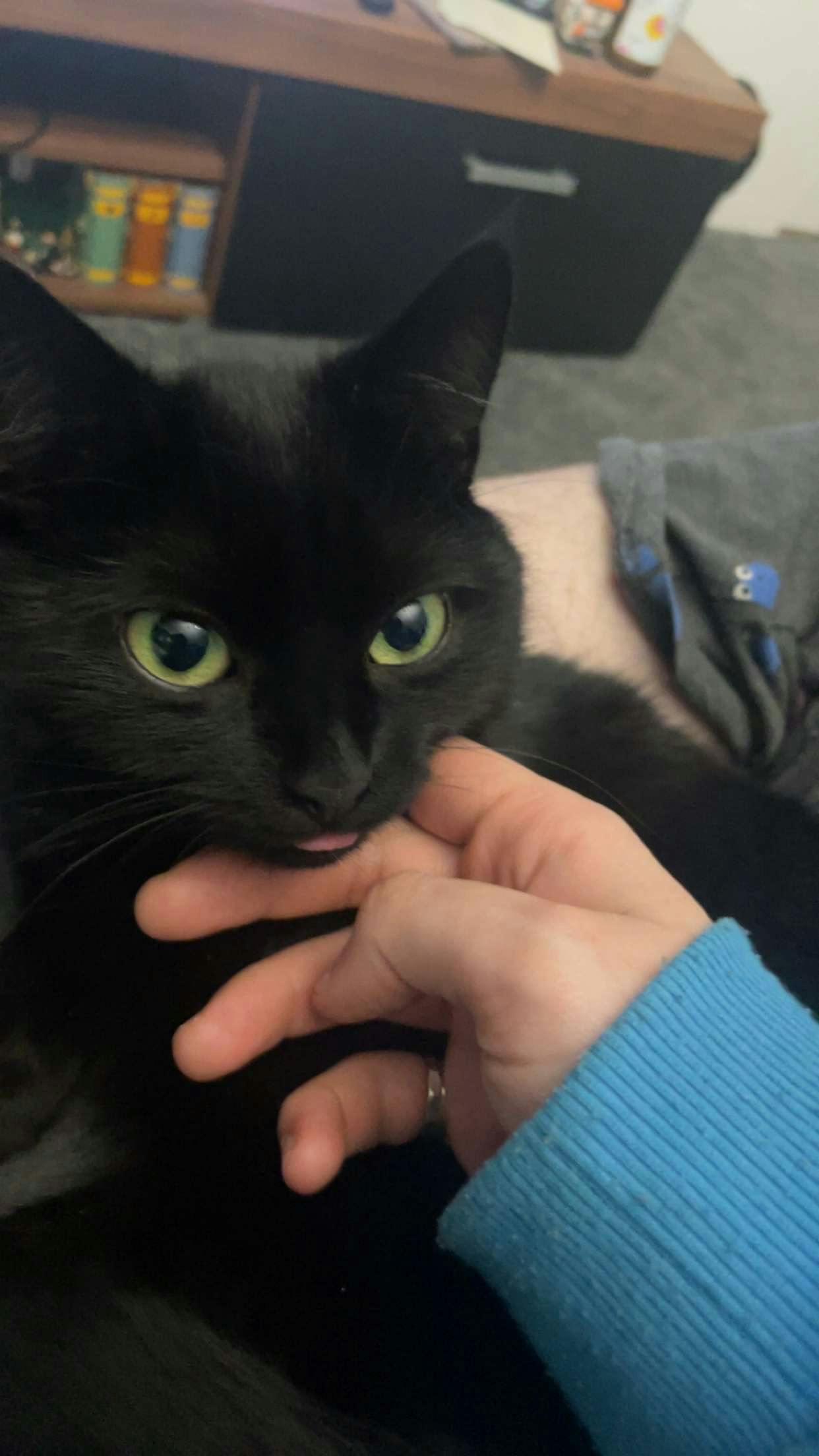 user avatar image for Hannah van den Brandeler