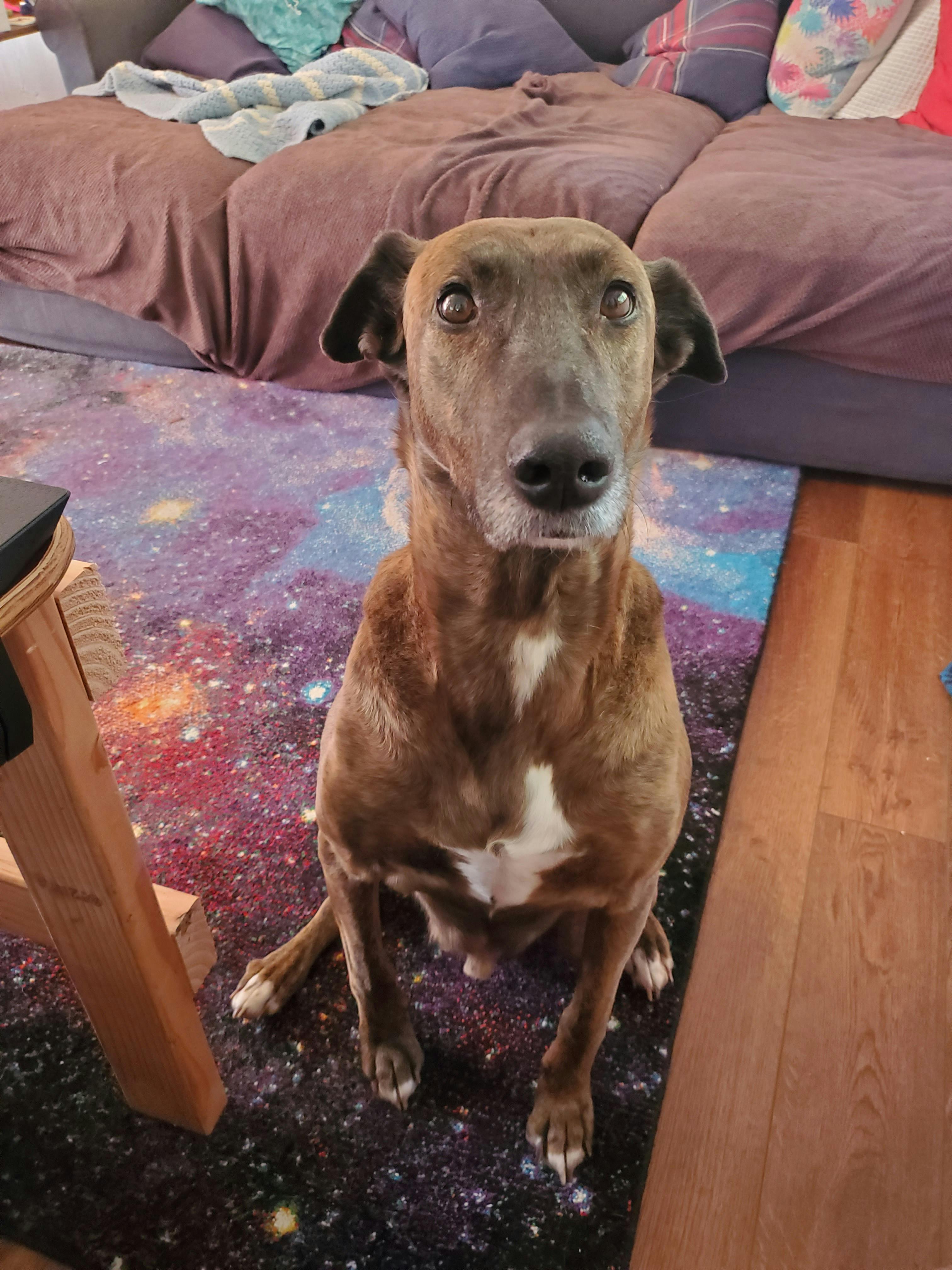 user avatar image for FunkyColdAlpaca