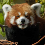 user avatar image for George VanMeter