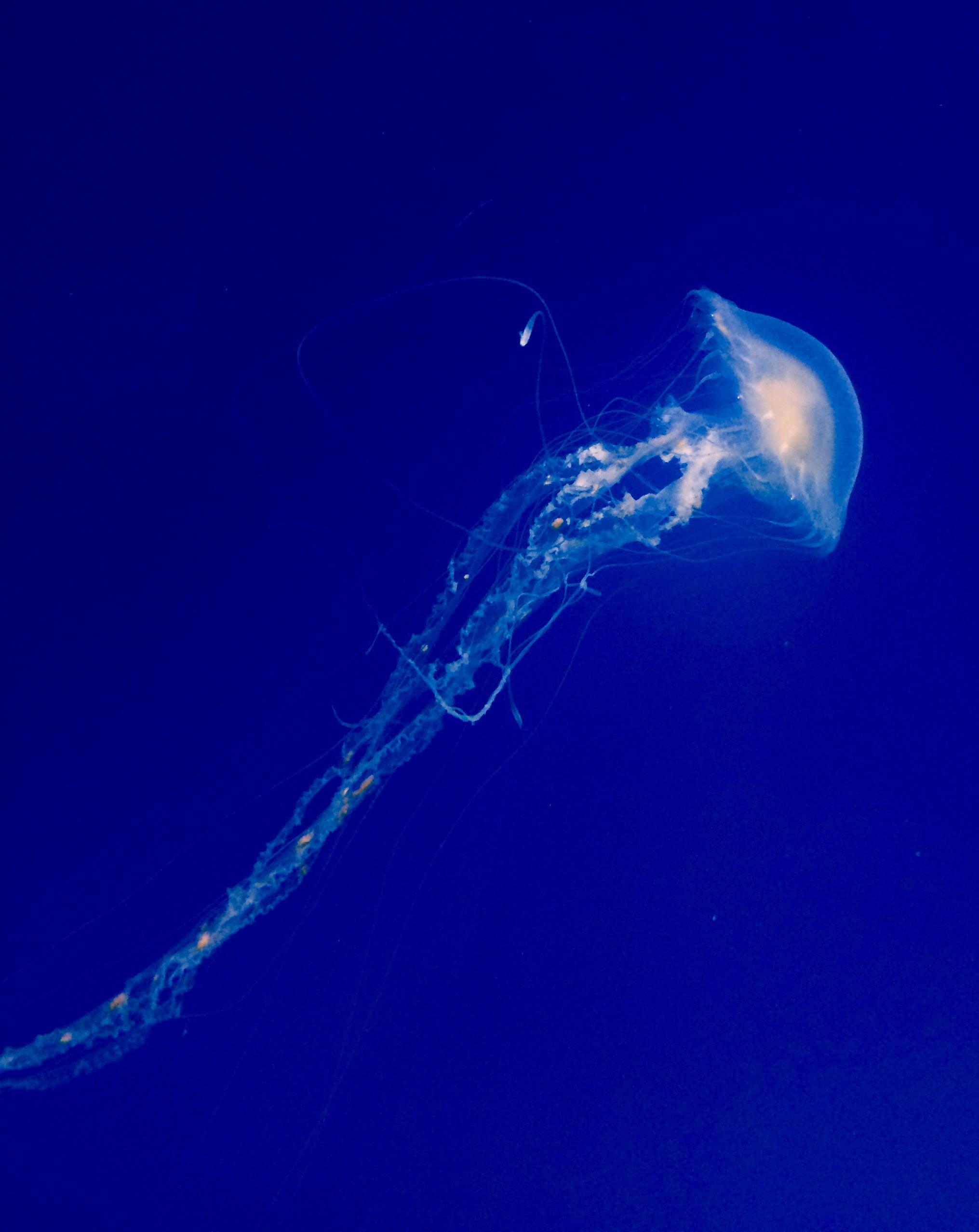 user avatar image for Liv