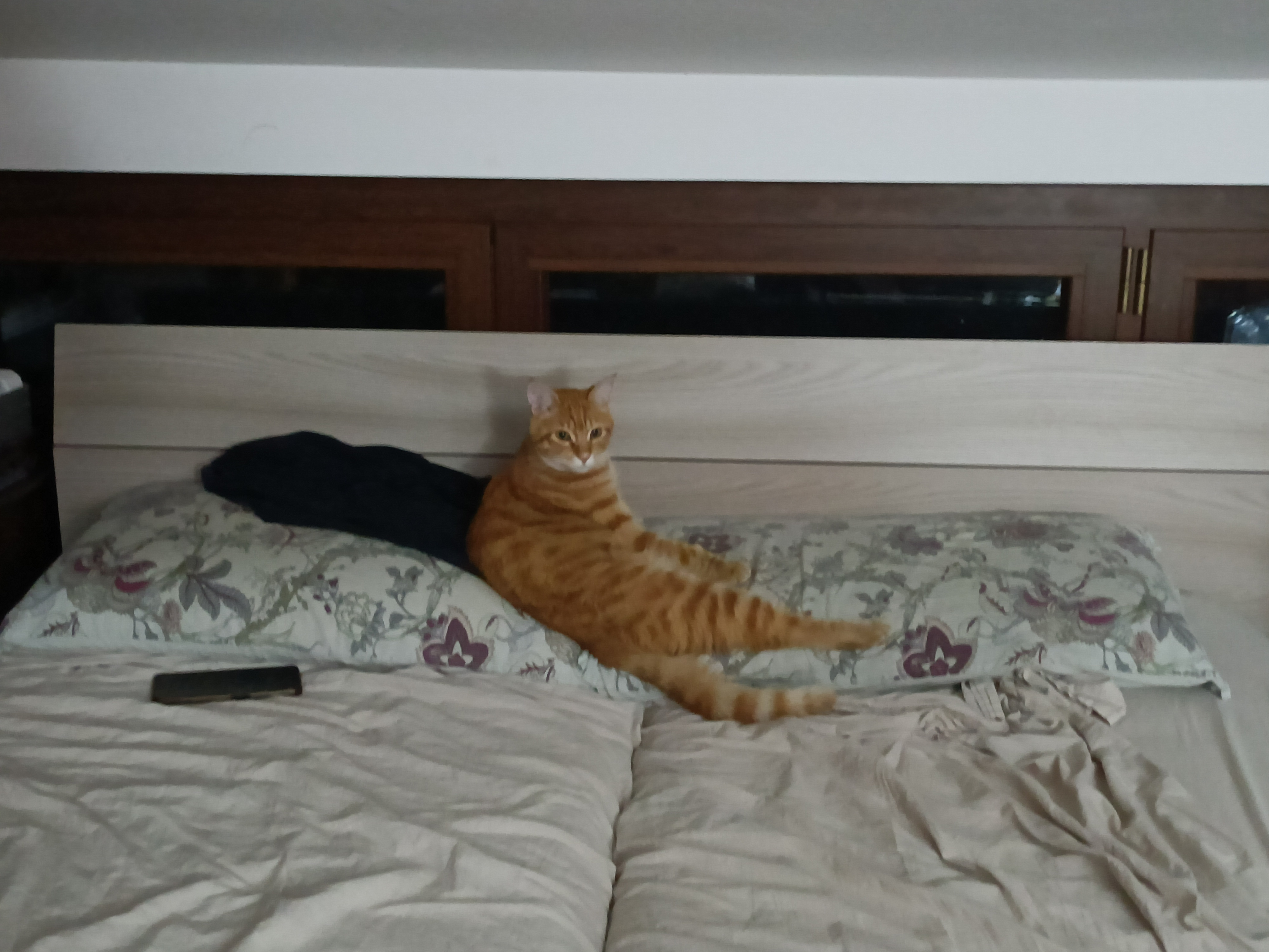 user avatar image for Valerio Valentini