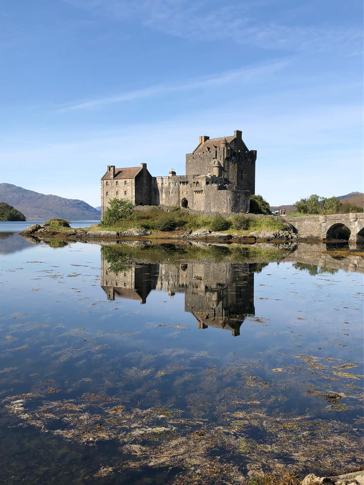 user avatar image for Terry McLennan