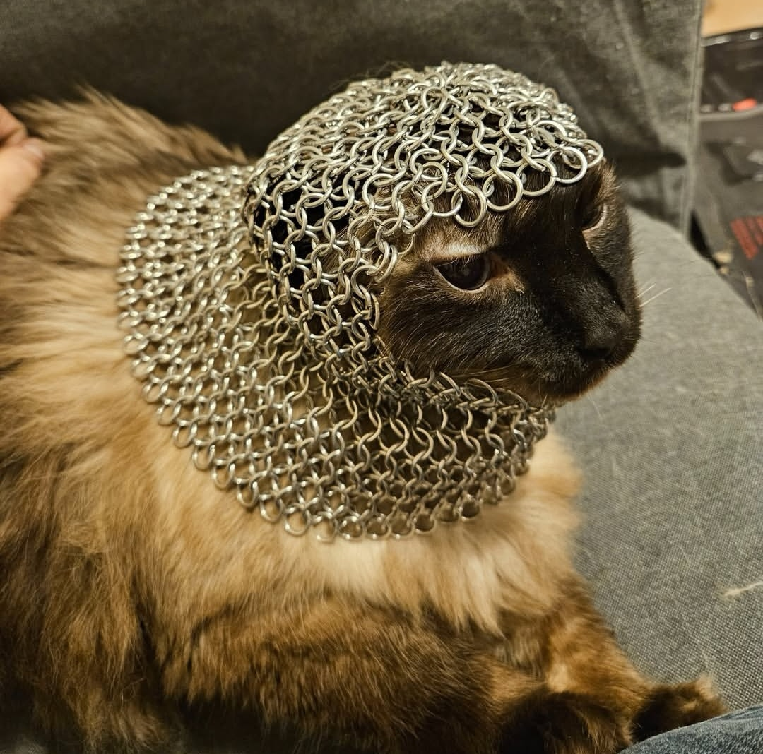 user avatar image for Cory