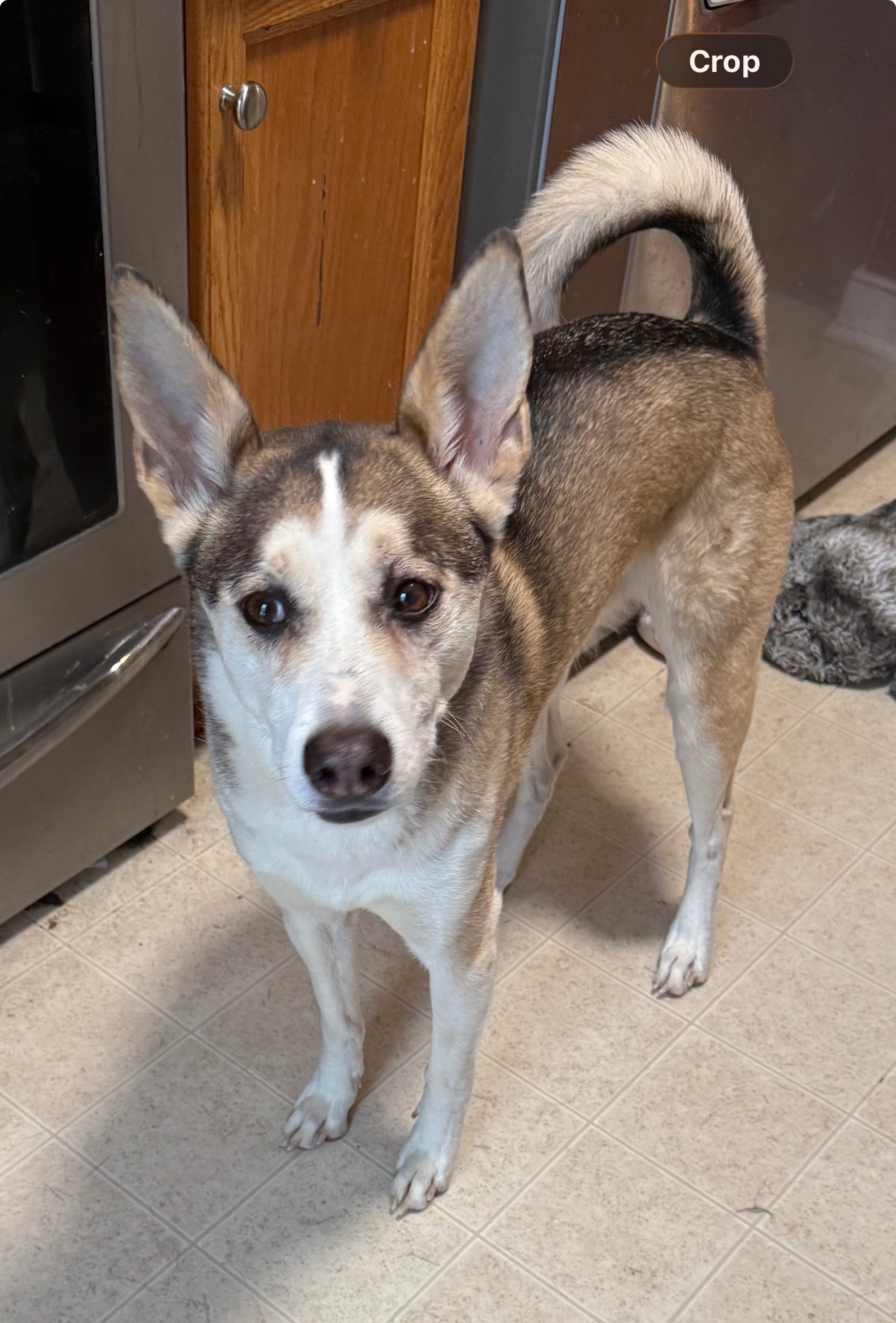 user avatar image for Angie Mann