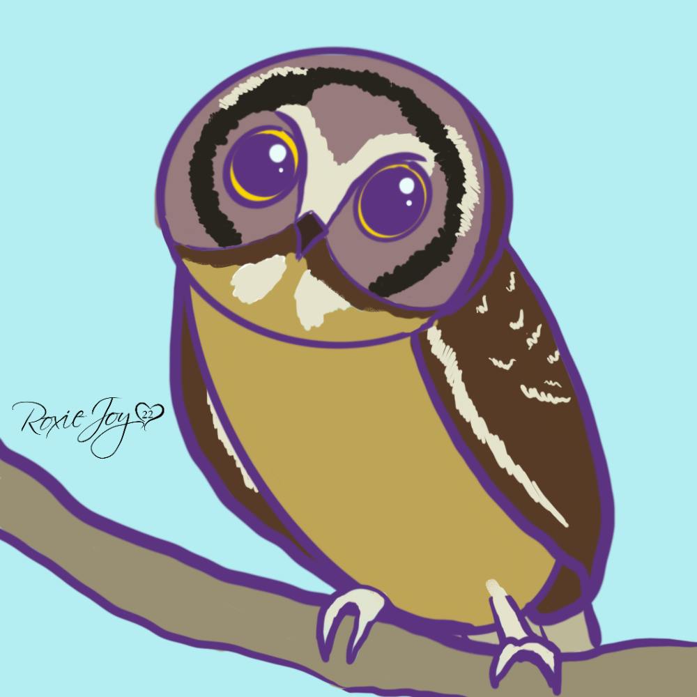 user avatar image for Immortalbenny