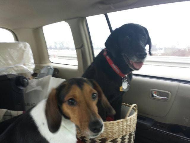 user avatar image for James Wright