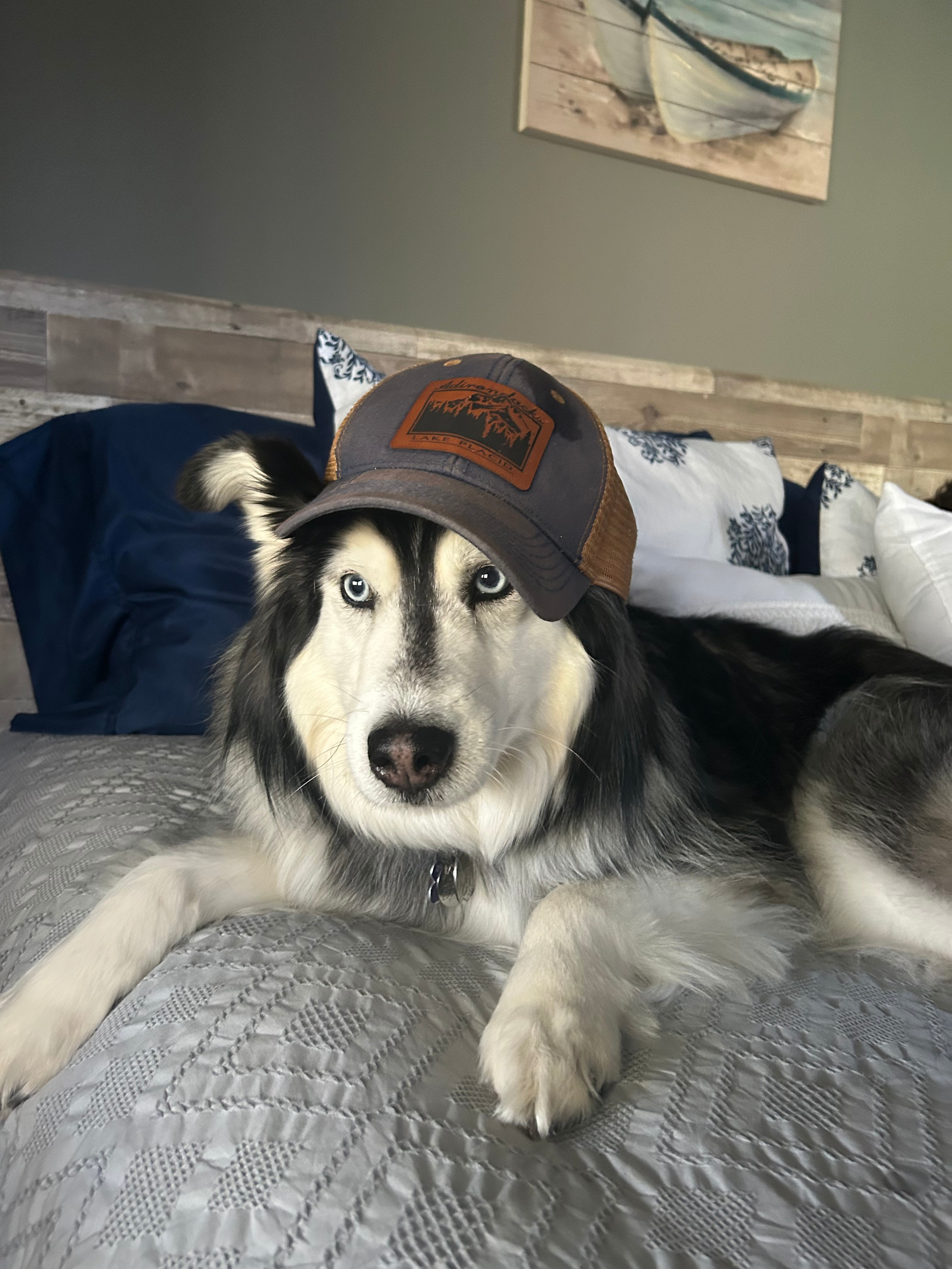 user avatar image for Nathan Mumme