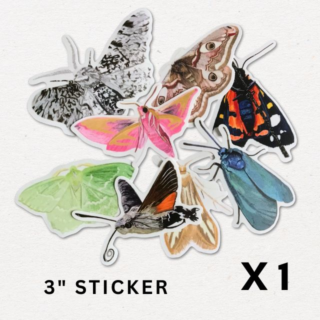 3" Sticker