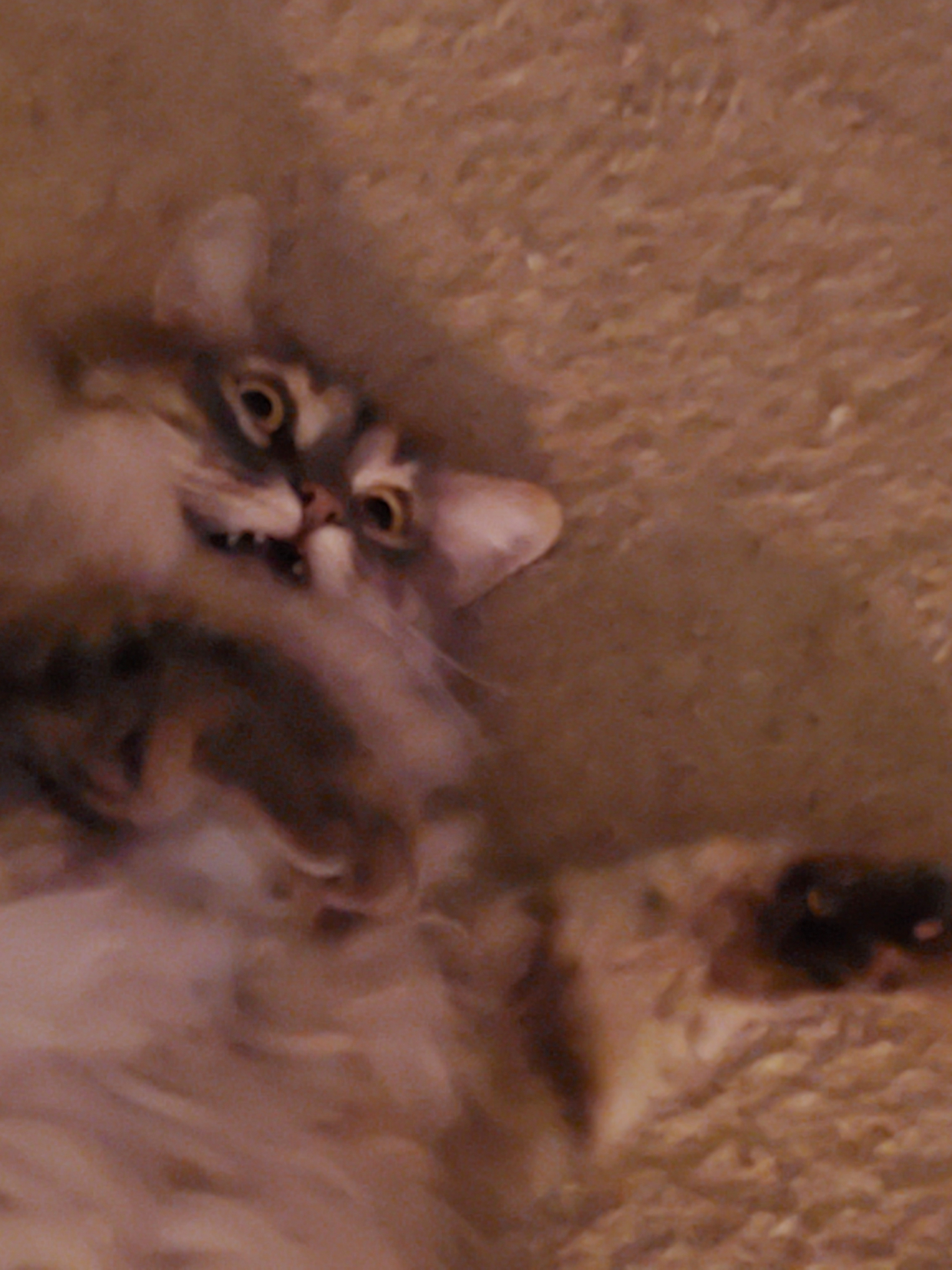 user avatar image for Douglas