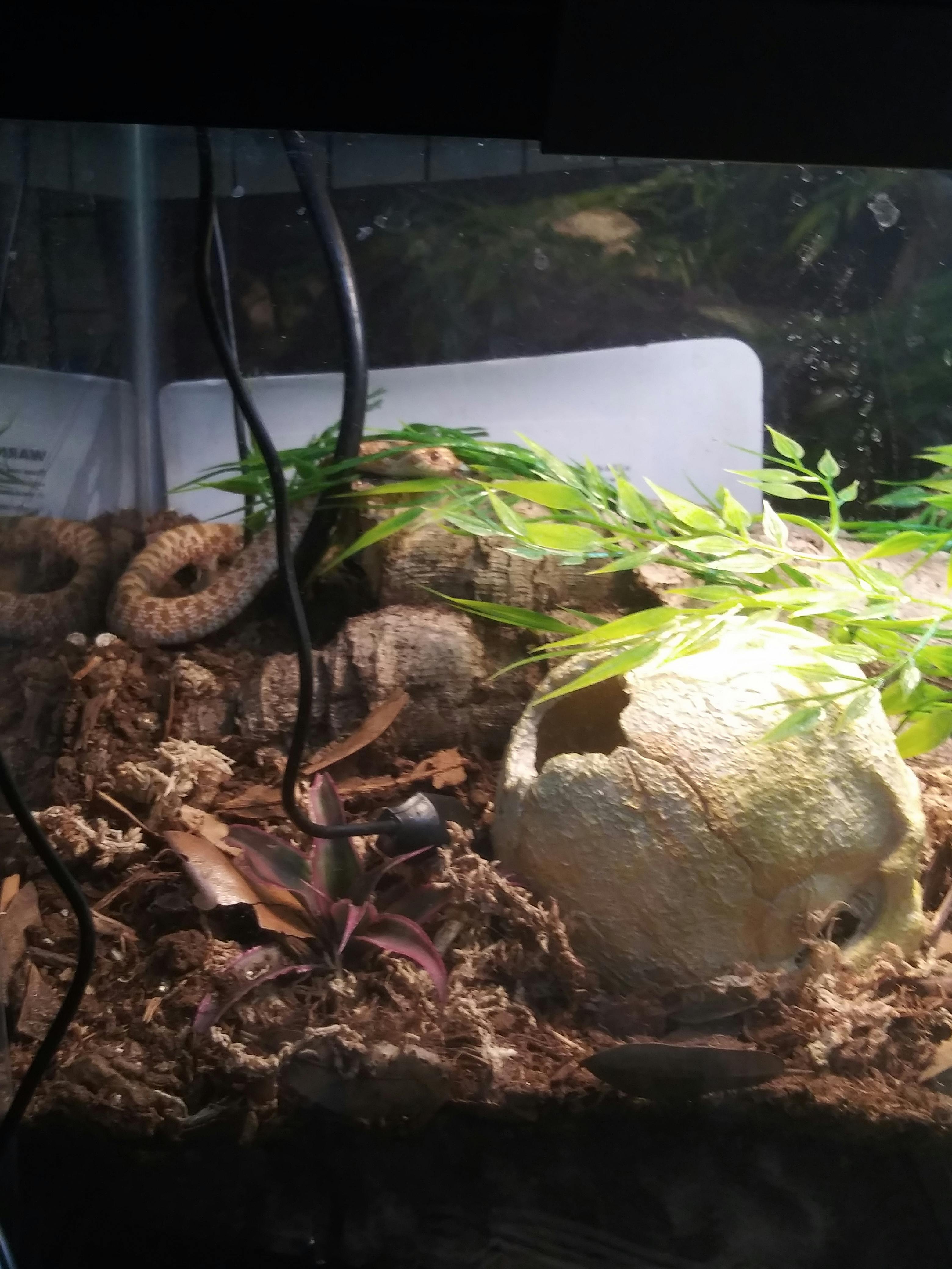 user avatar image for TK