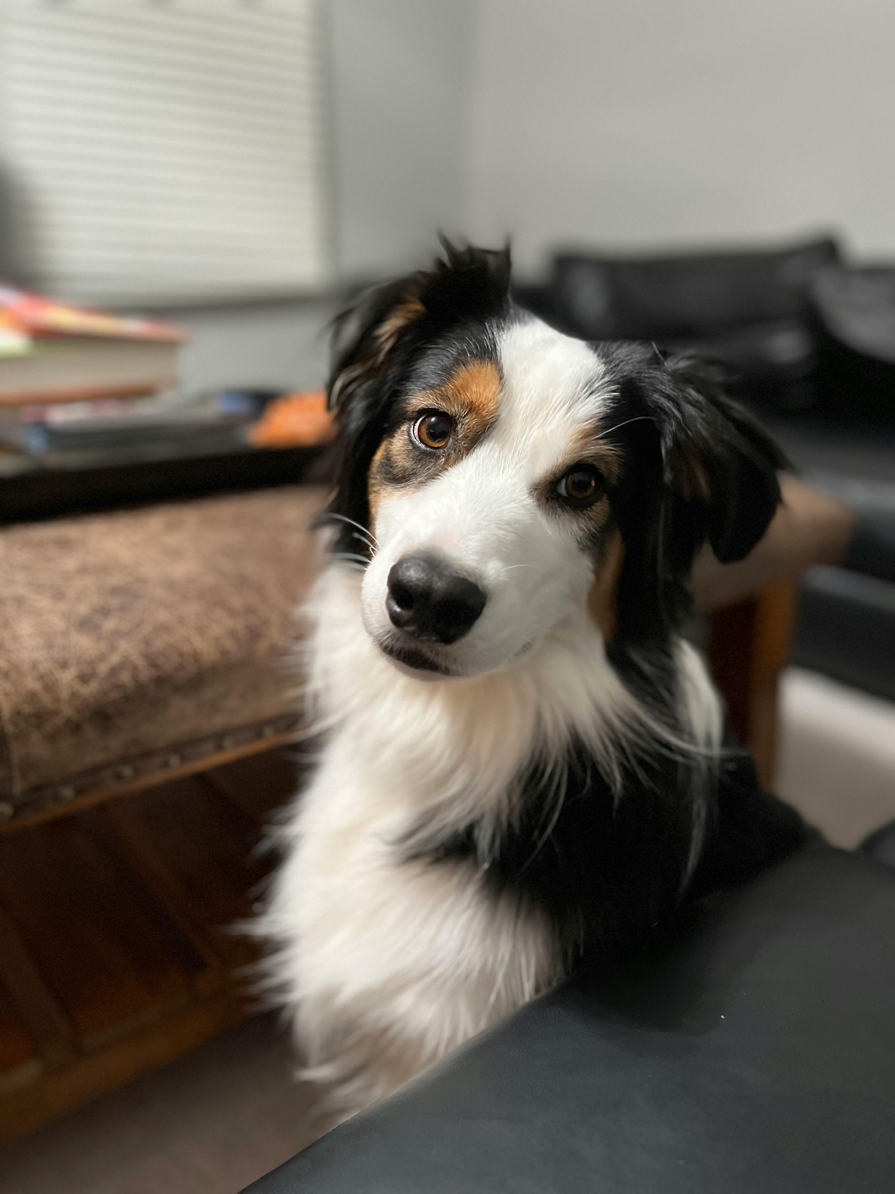 user avatar image for Samantha Adams