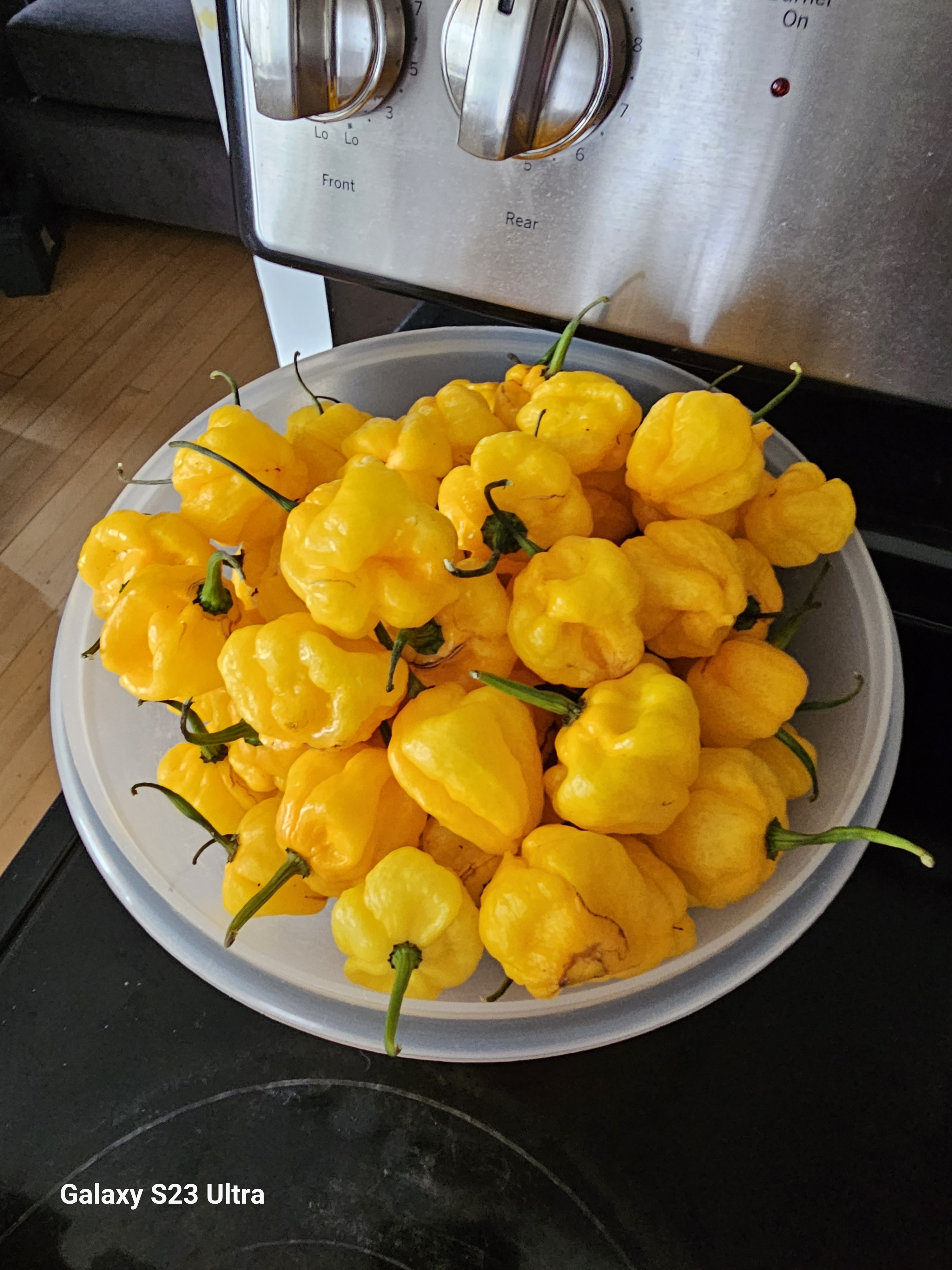 user avatar image for Adam Hunter