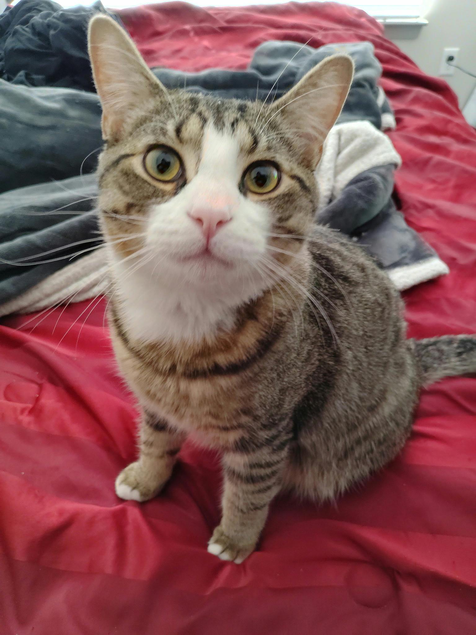 user avatar image for Ashlee