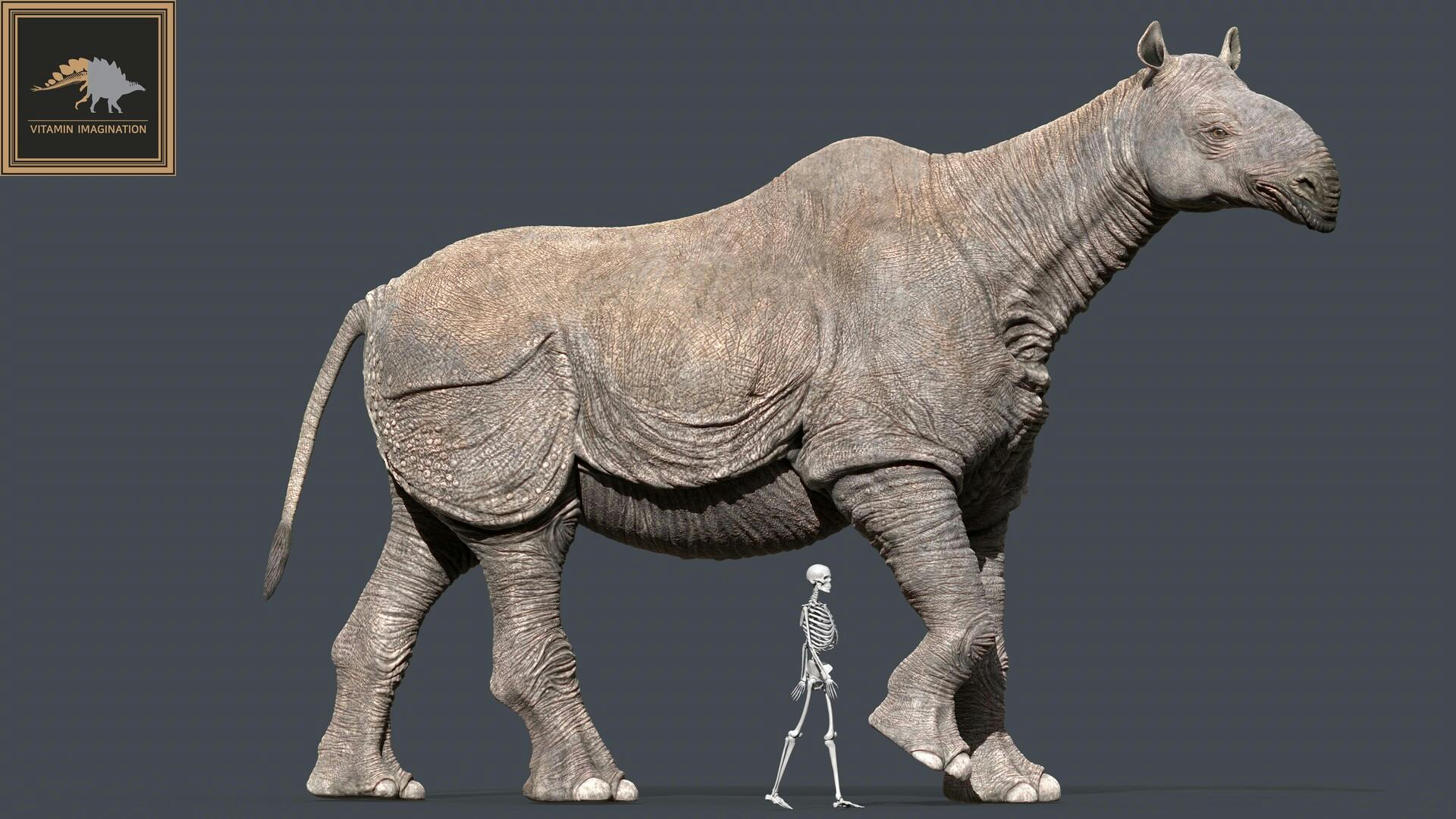 Paraceratherium