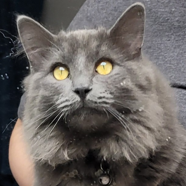 user avatar image for Juniper