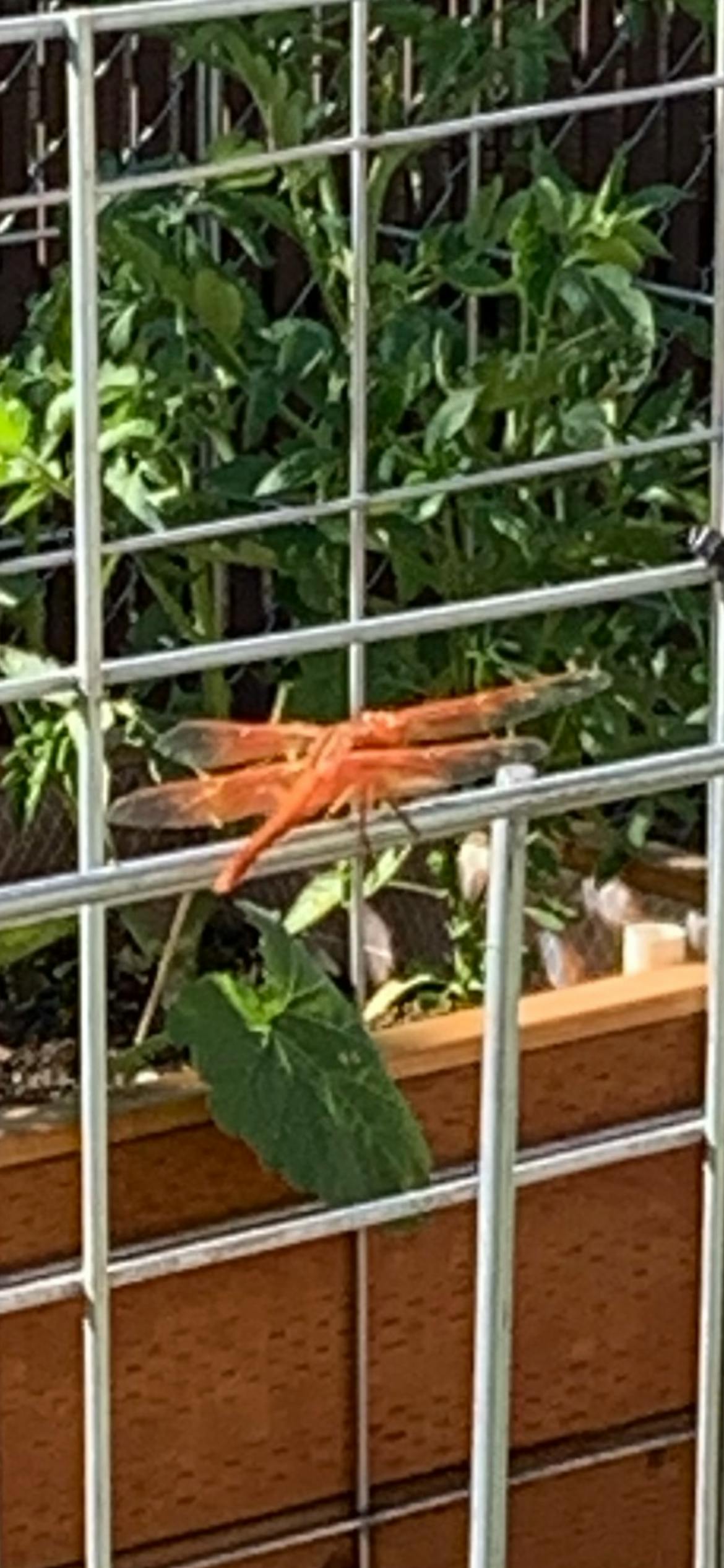 user avatar image for Bekah