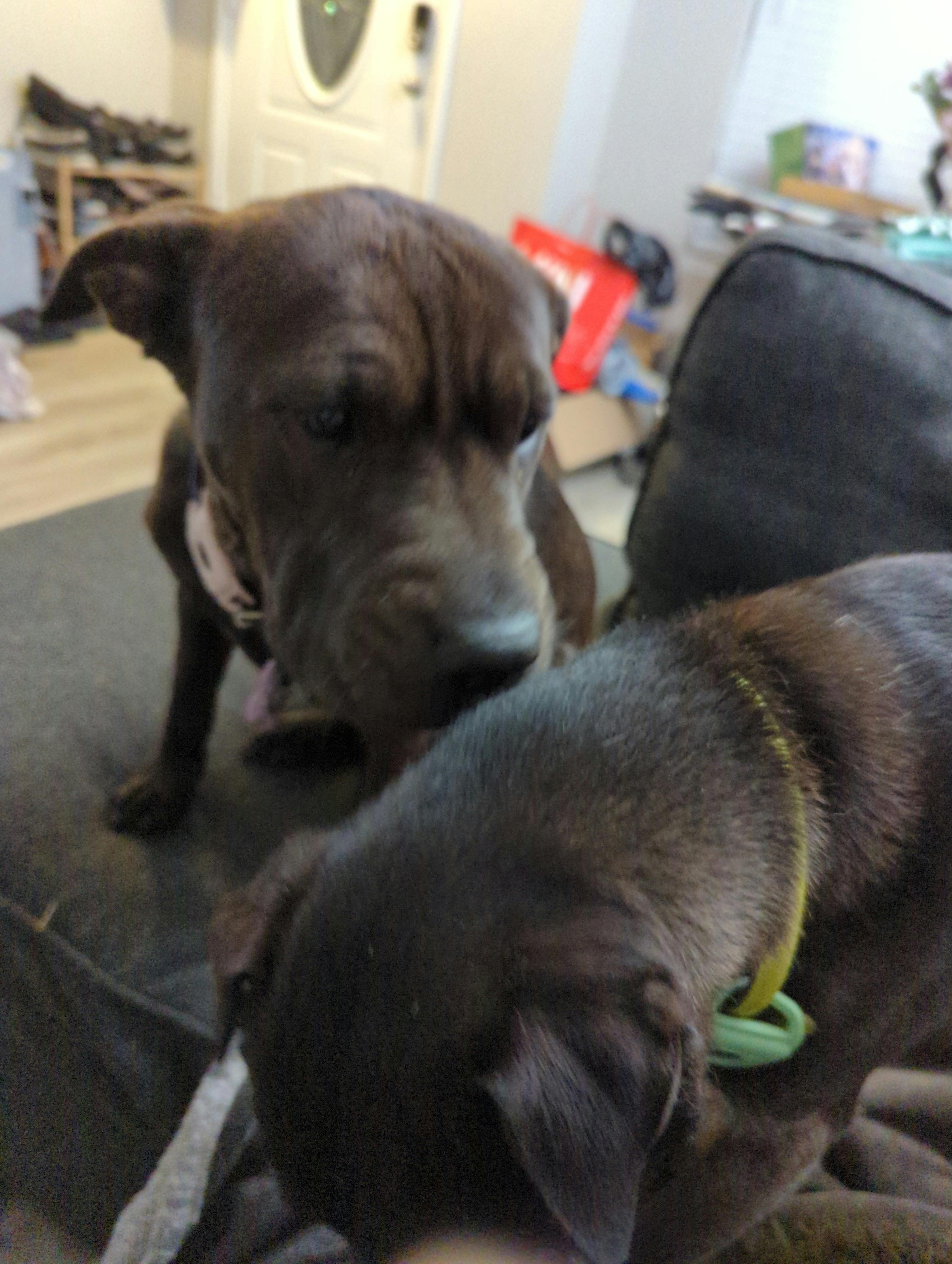 user avatar image for Kitt