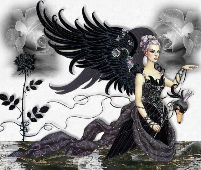 user avatar image for Deborah Ingram