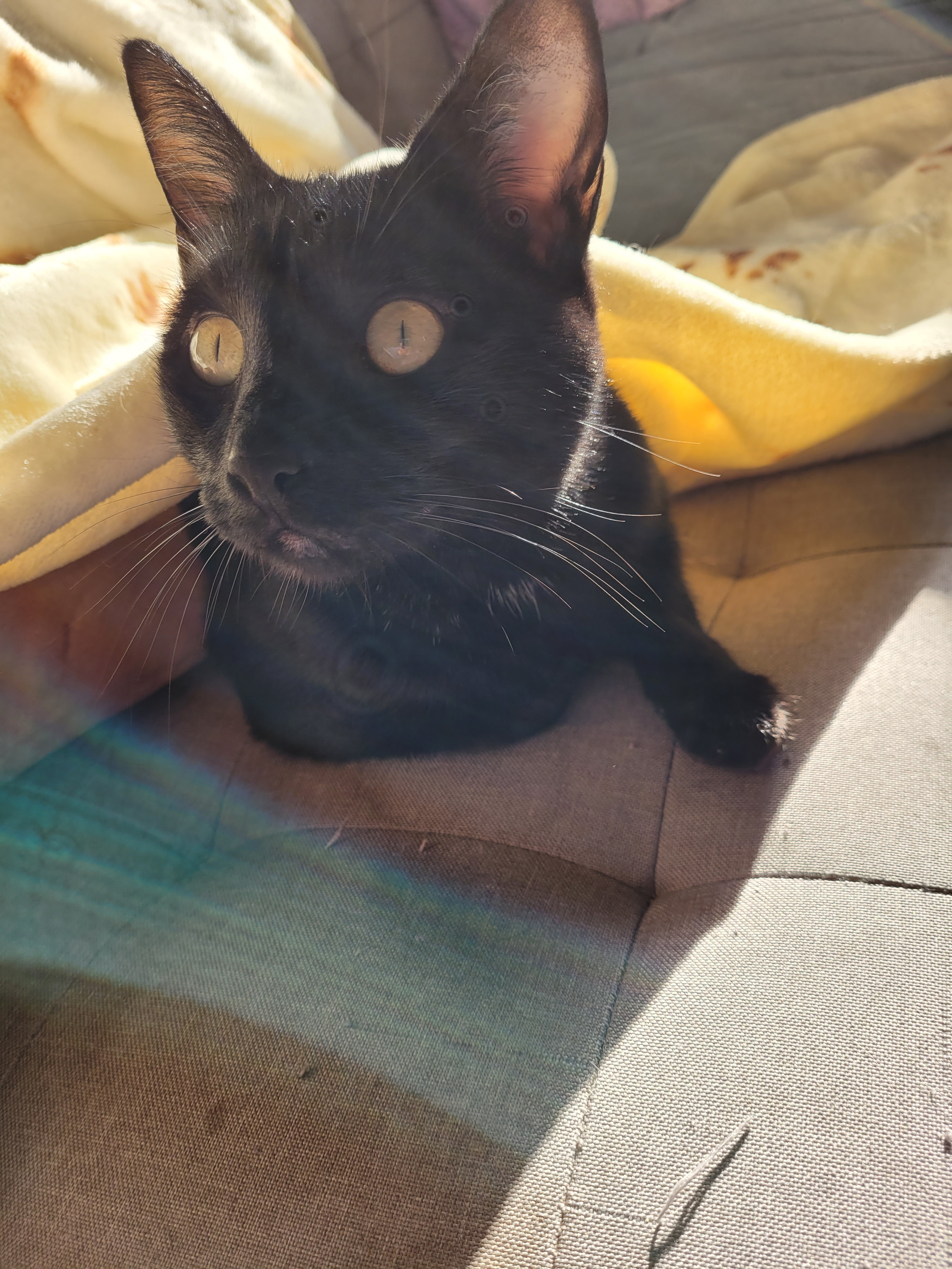 user avatar image for Rachel