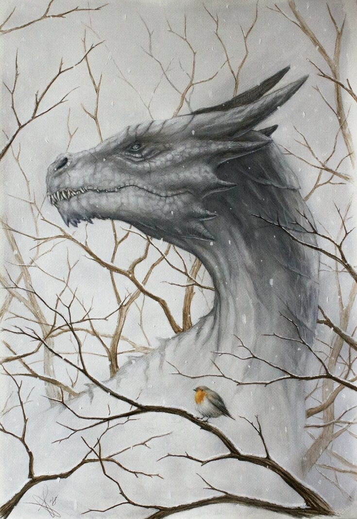 user avatar image for Joe Lane