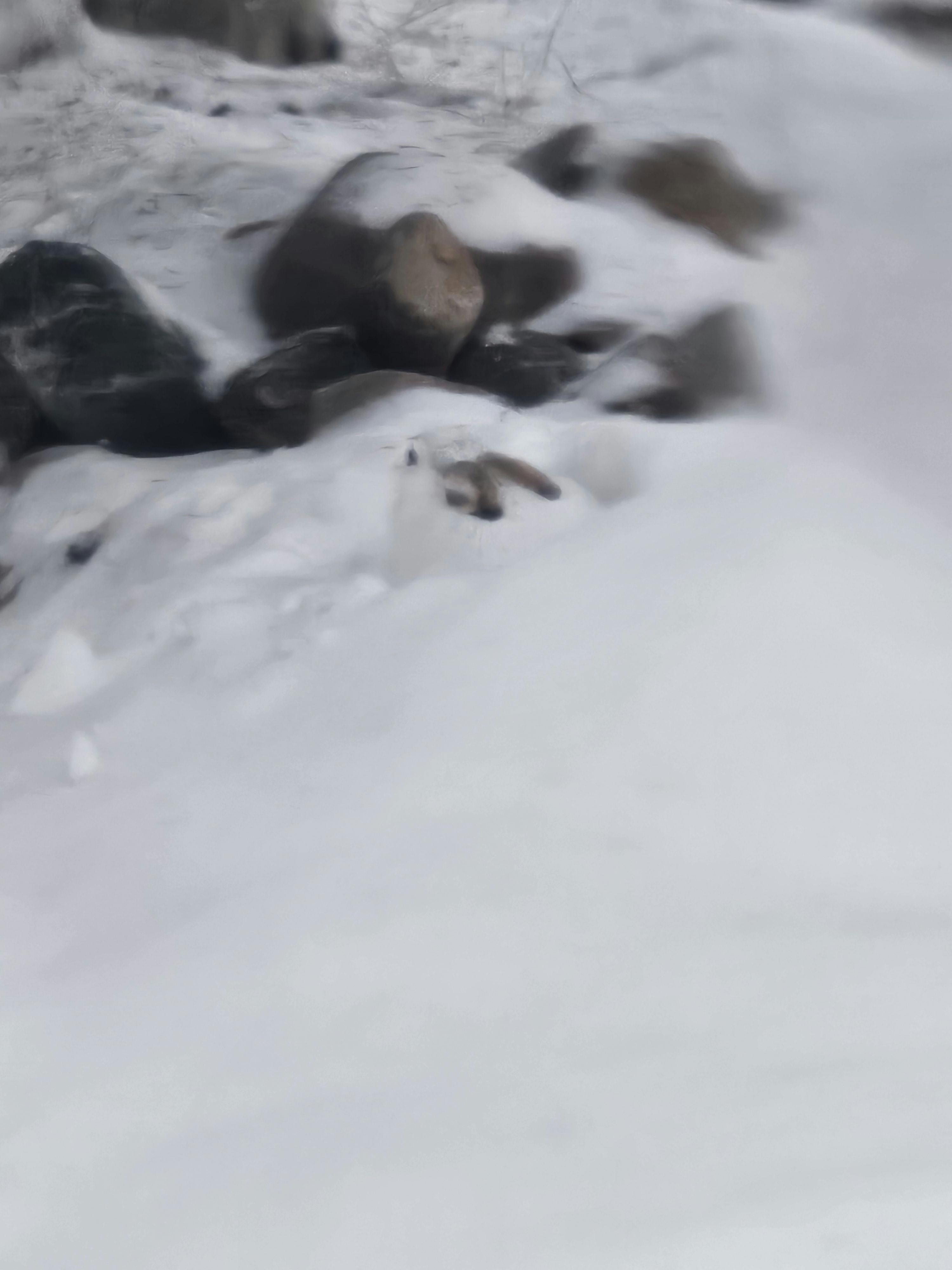 user avatar image for Julia Middleton