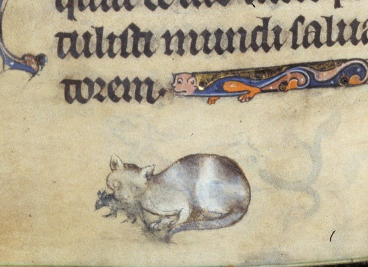 user avatar image for Christine Nerney-Zapetis