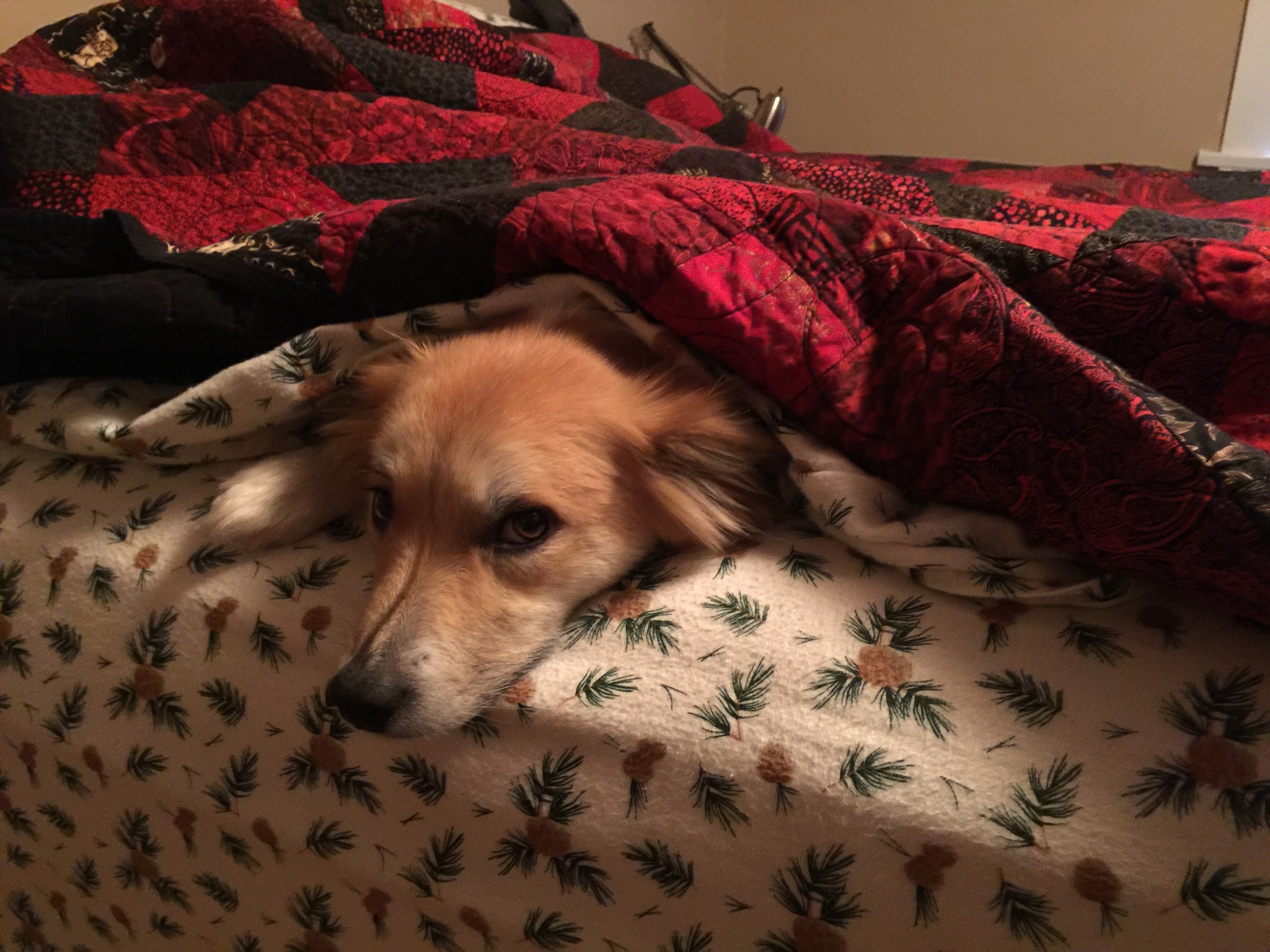 user avatar image for Helvutlen 