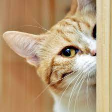 user avatar image for Erin