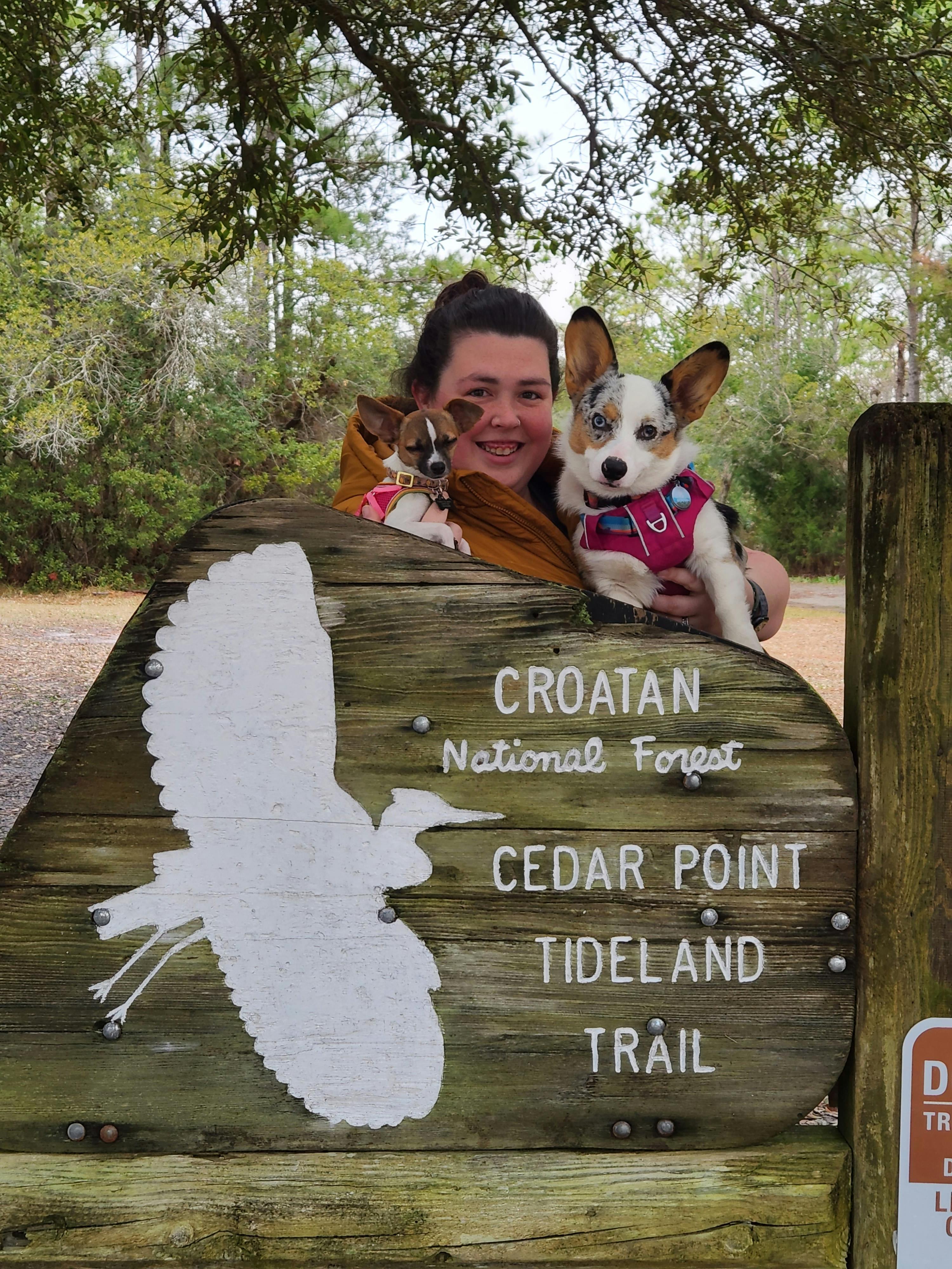 user avatar image for Heather kearns