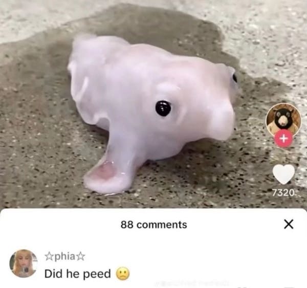 user avatar image for Yan