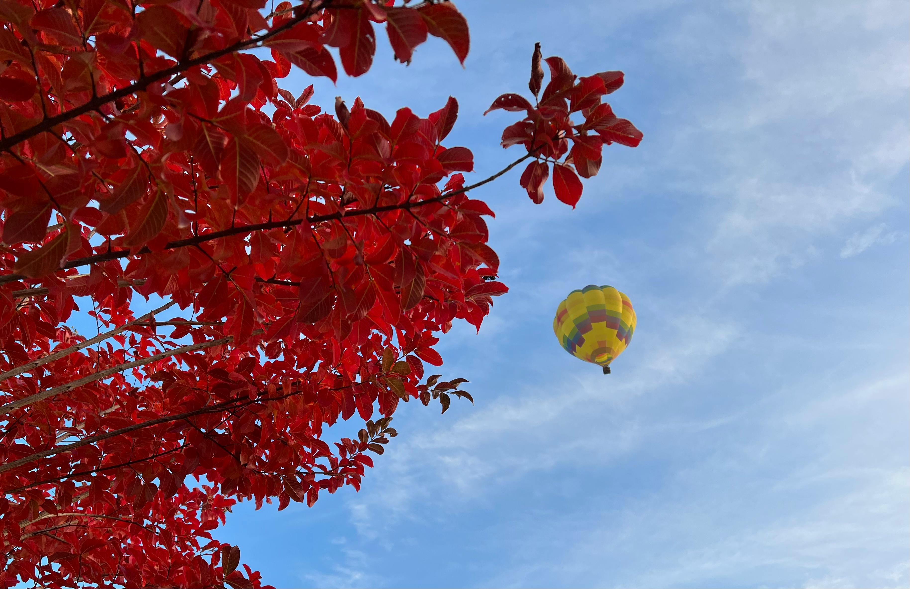 user avatar image for Sharra