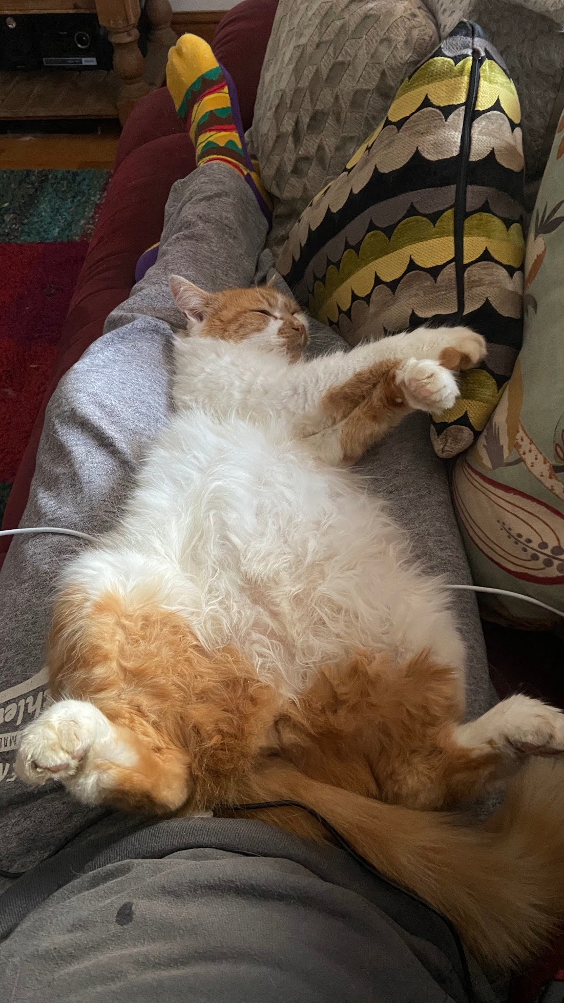 user avatar image for Cai Jones