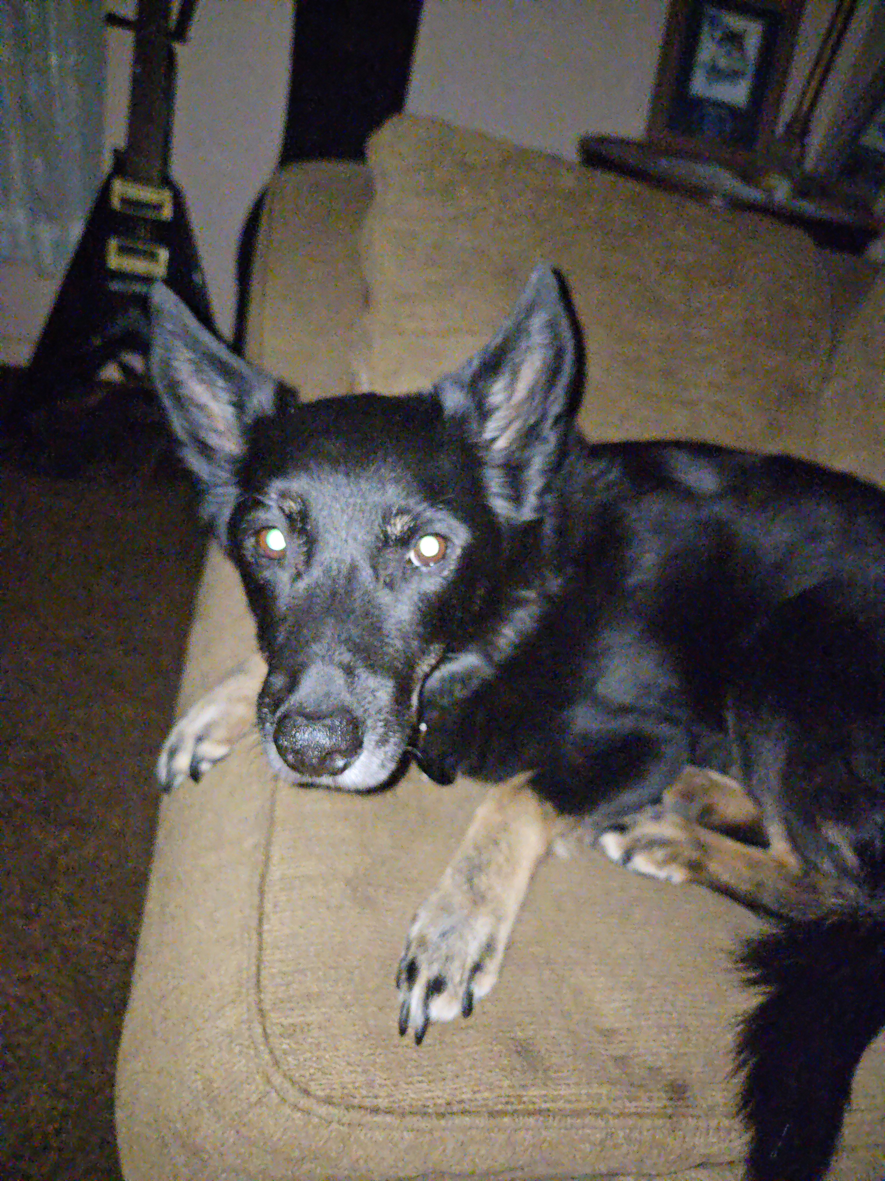 user avatar image for Donal strausbaugh