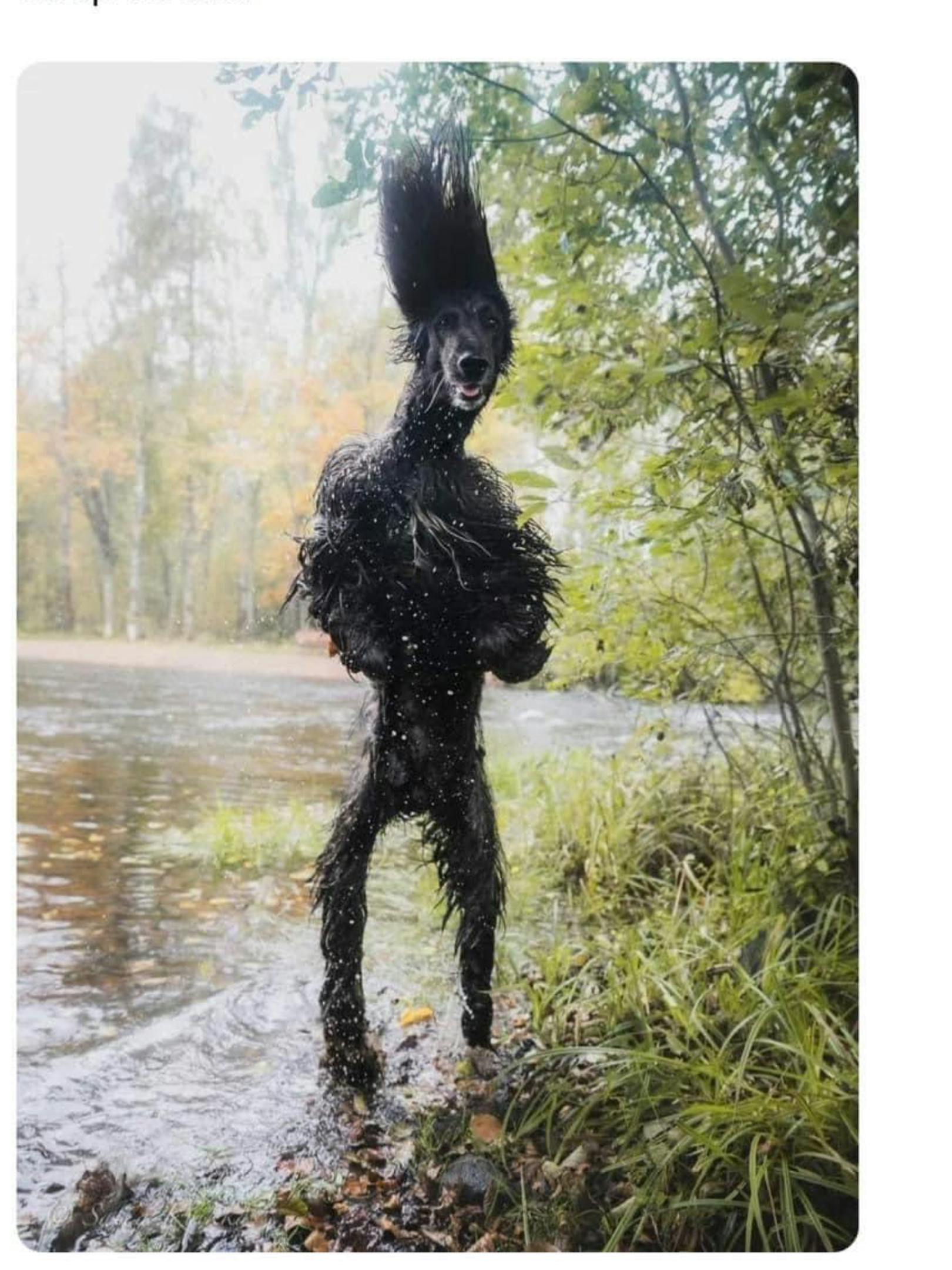 user avatar image for Doubz