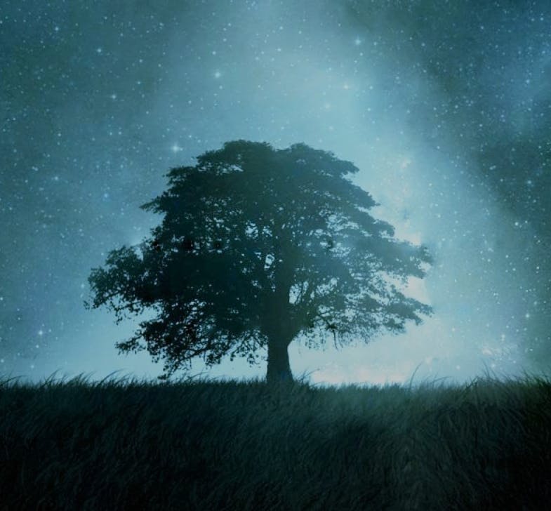 user avatar image for Silveroak