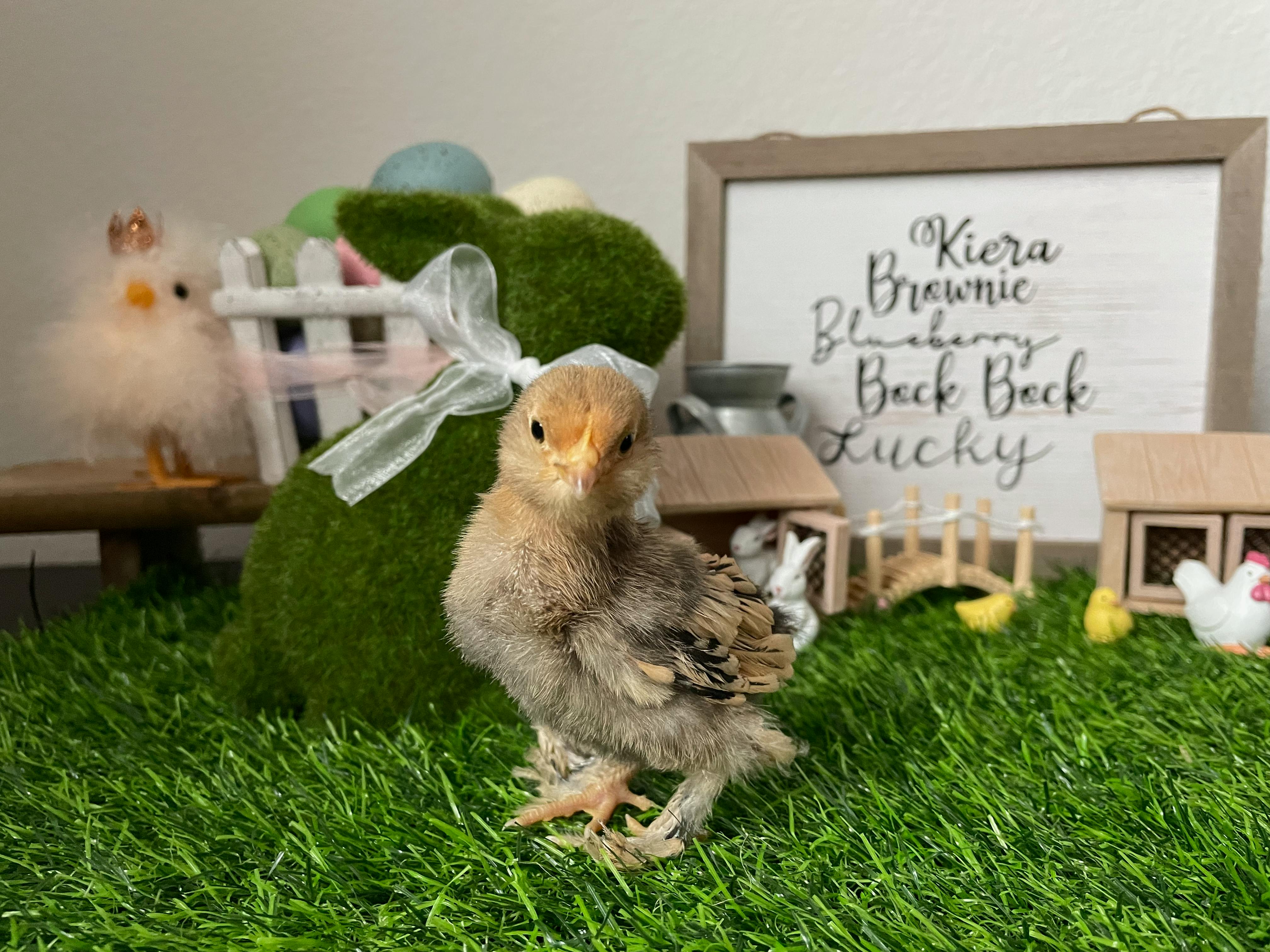 user avatar image for Amanda Y