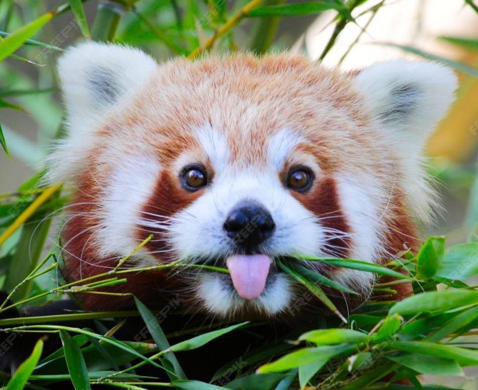 user avatar image for JLR