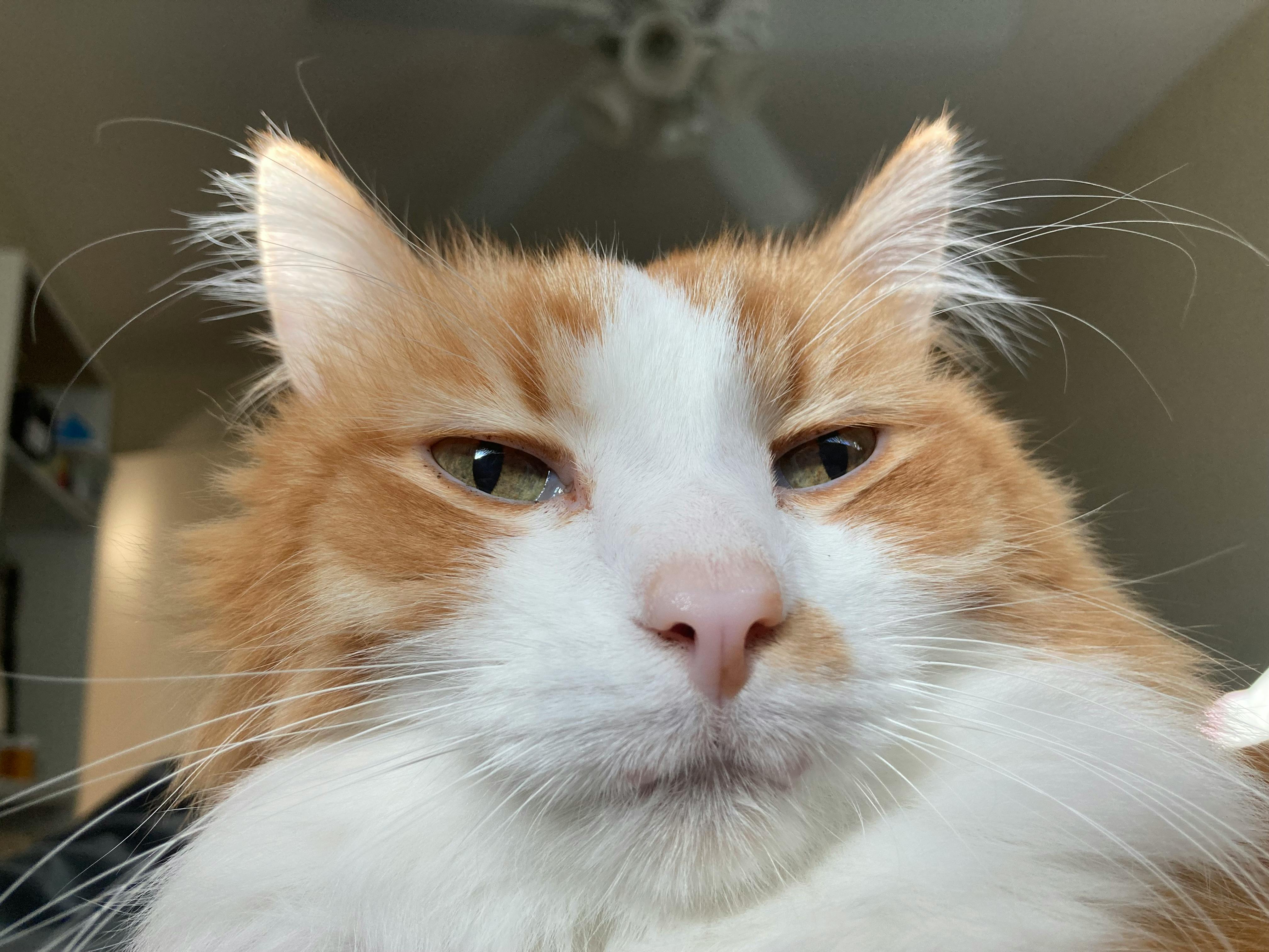 user avatar image for Bridget