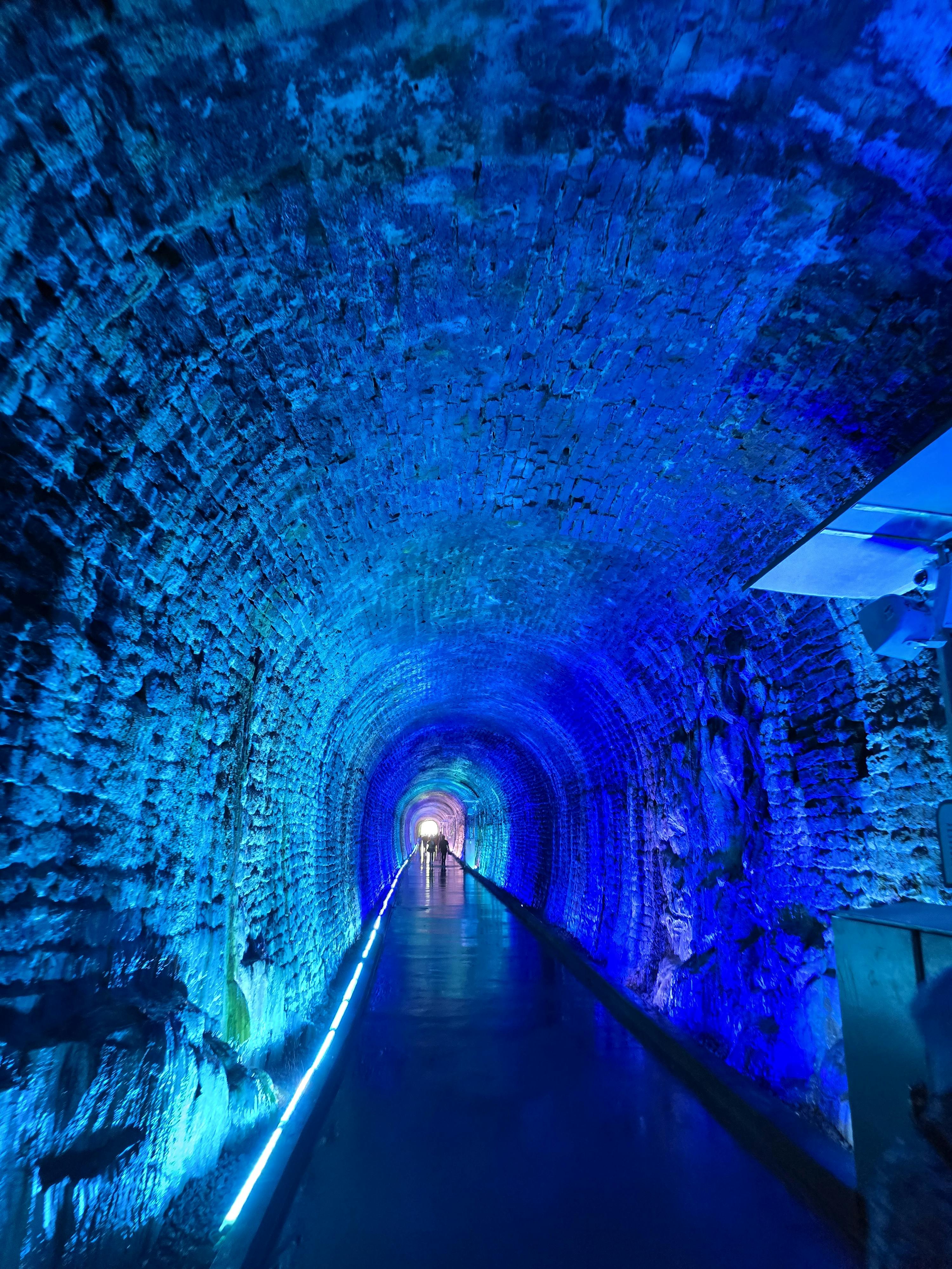 user avatar image for Karikarook