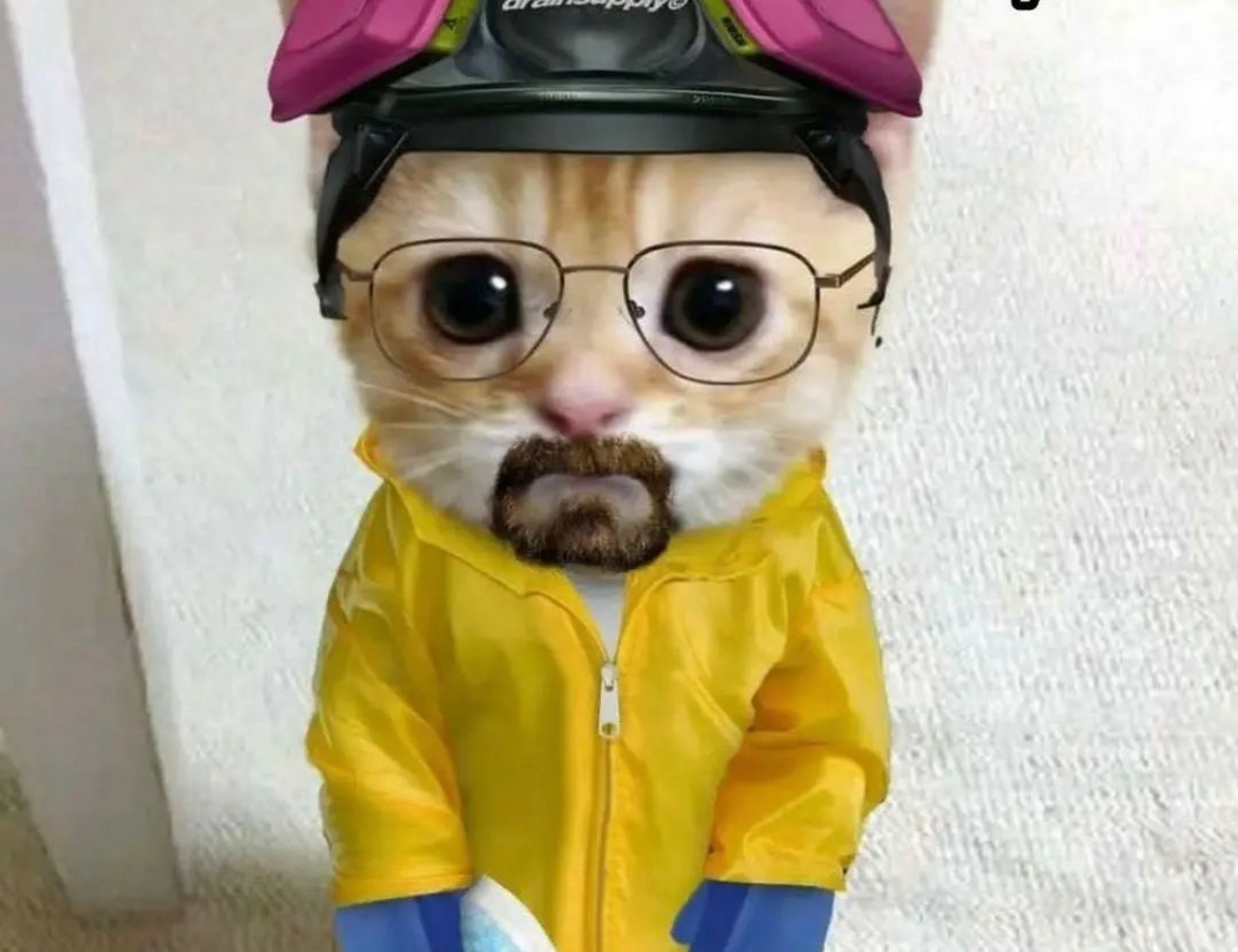 user avatar image for Zach