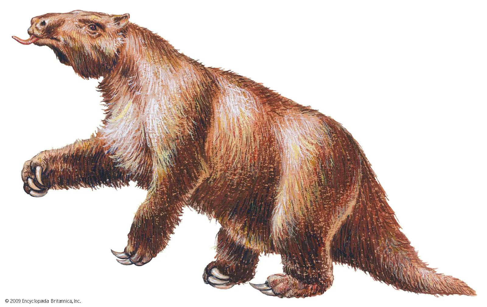 Giant Ground Sloth