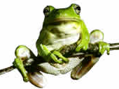 user avatar image for AndyB