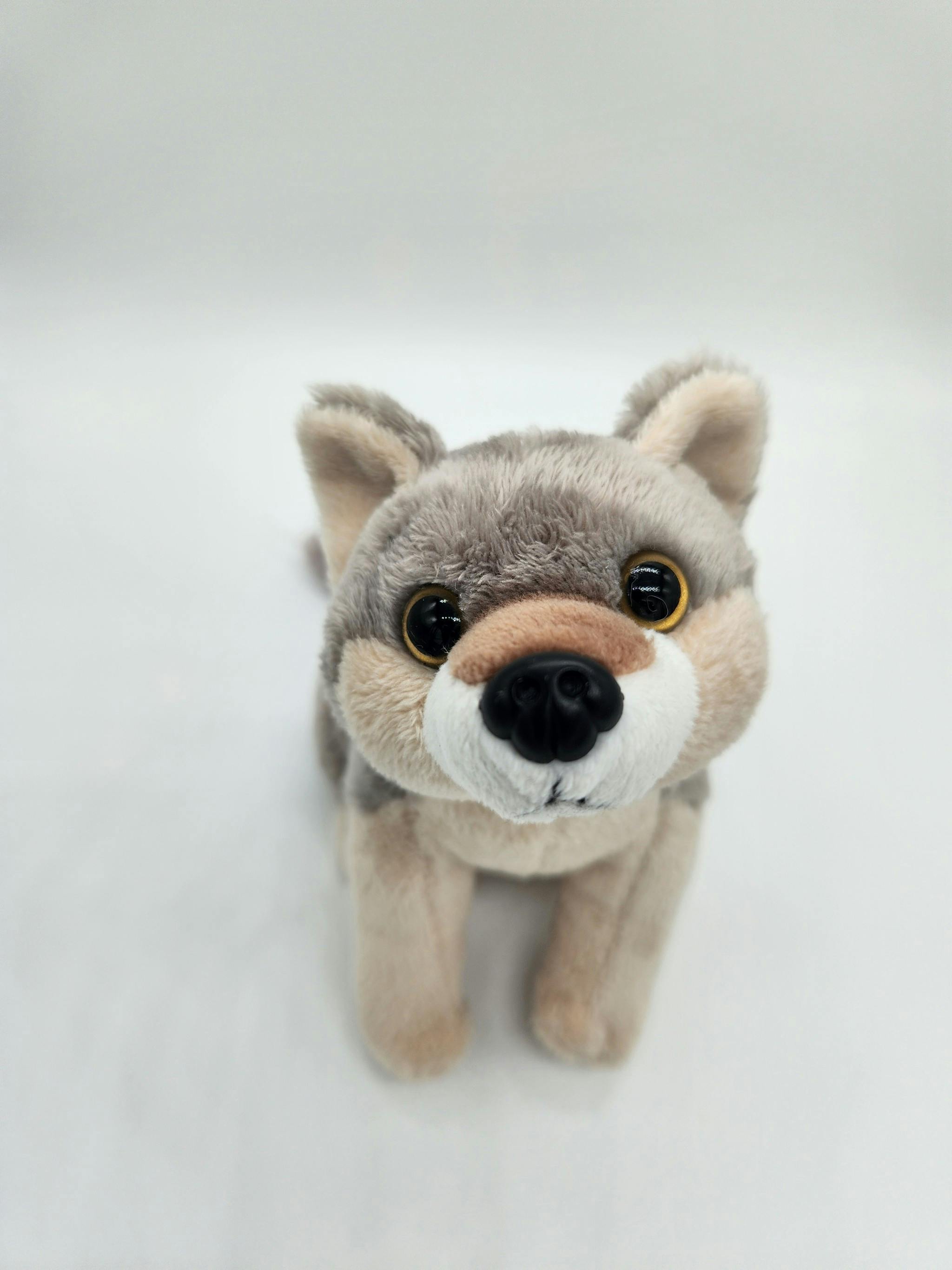 user avatar image for Ray